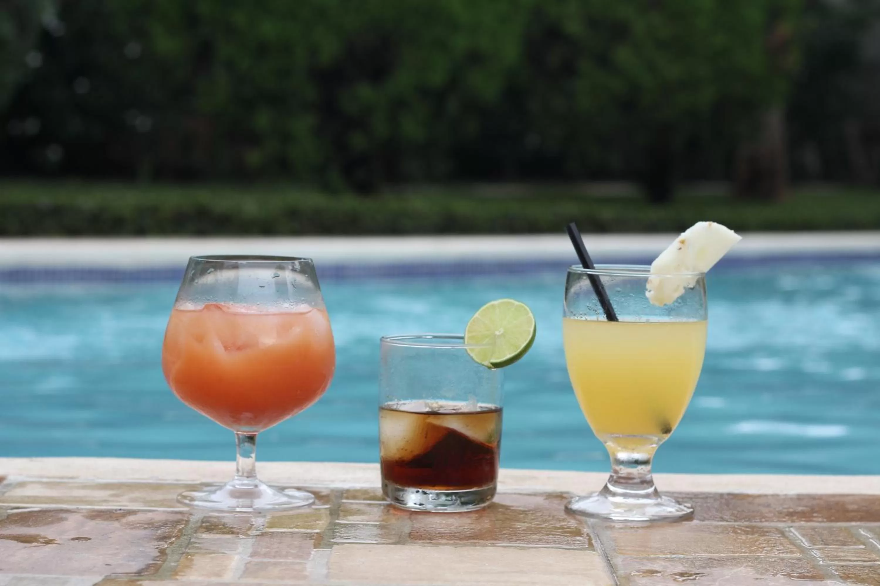 Swimming pool, Drinks in Hotel Los Pinos