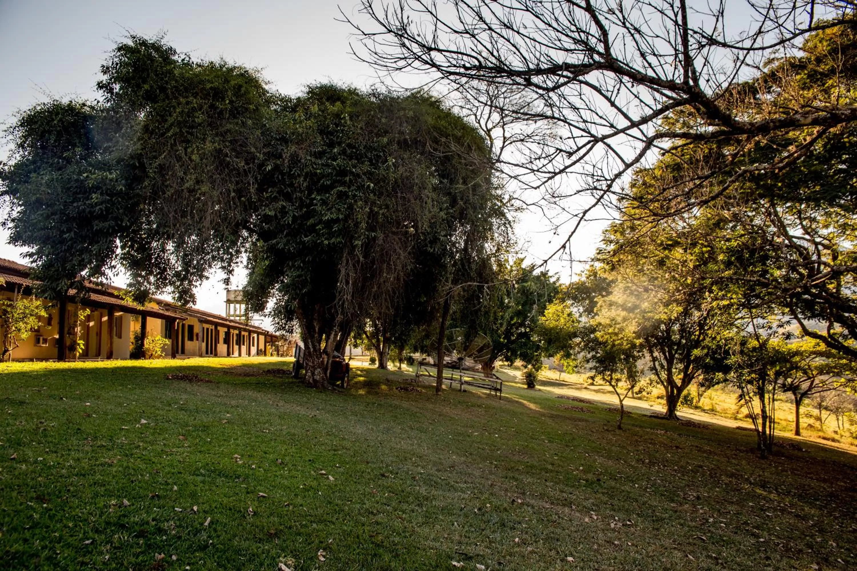 Natural landscape, Garden in Pousada Flor da Serra