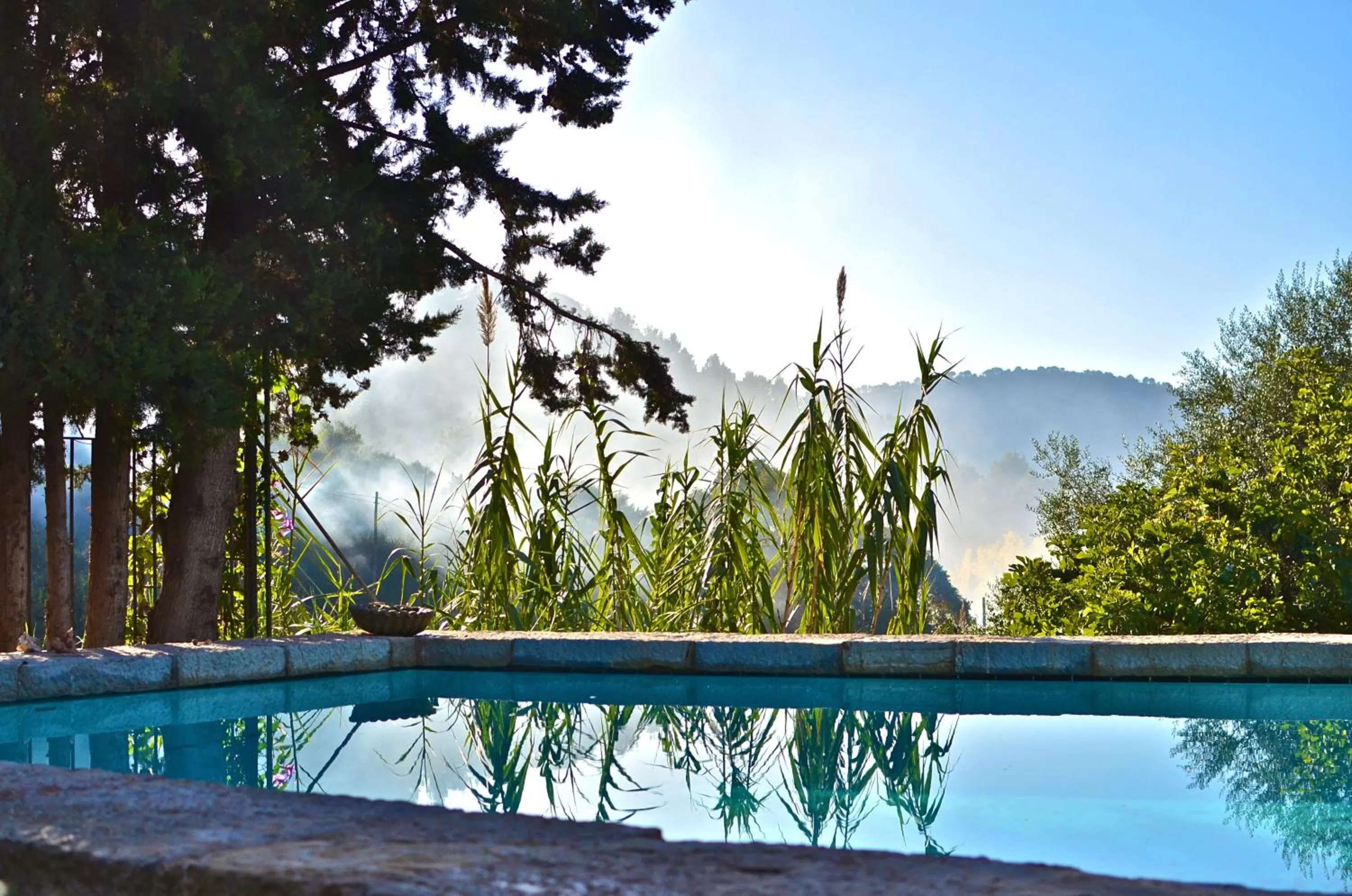 Day in Sa Vall Valldemossa