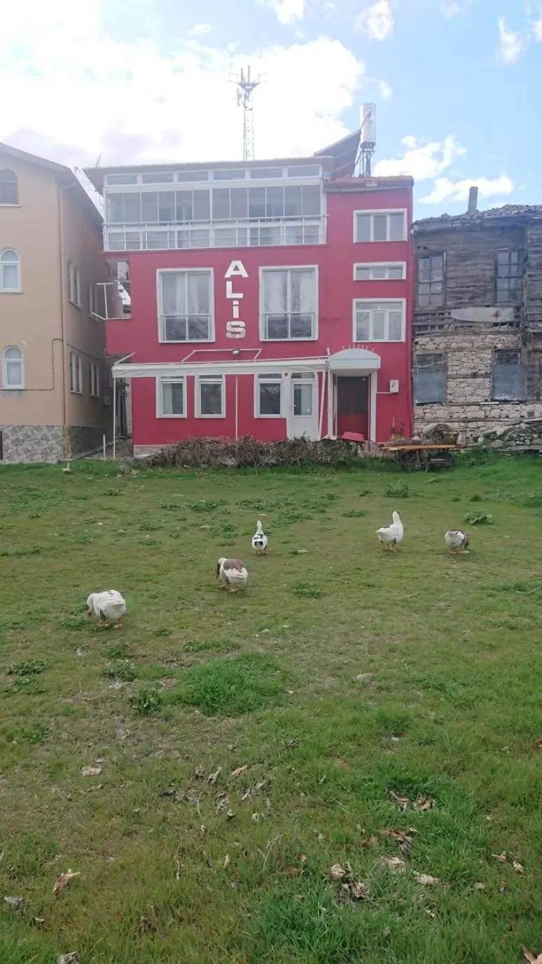 Property Building in Ali's Pension