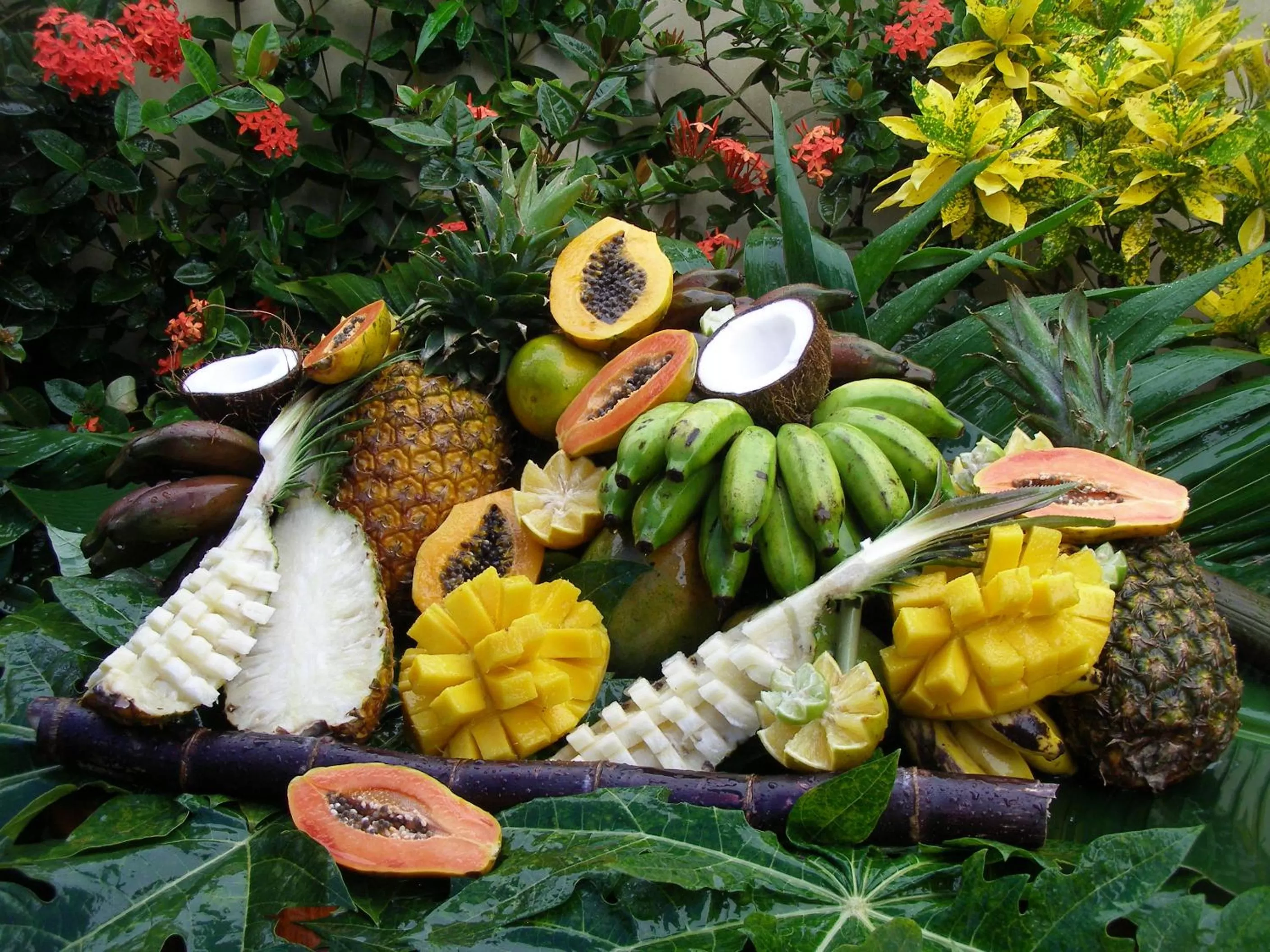 Property building in Chez Sabine