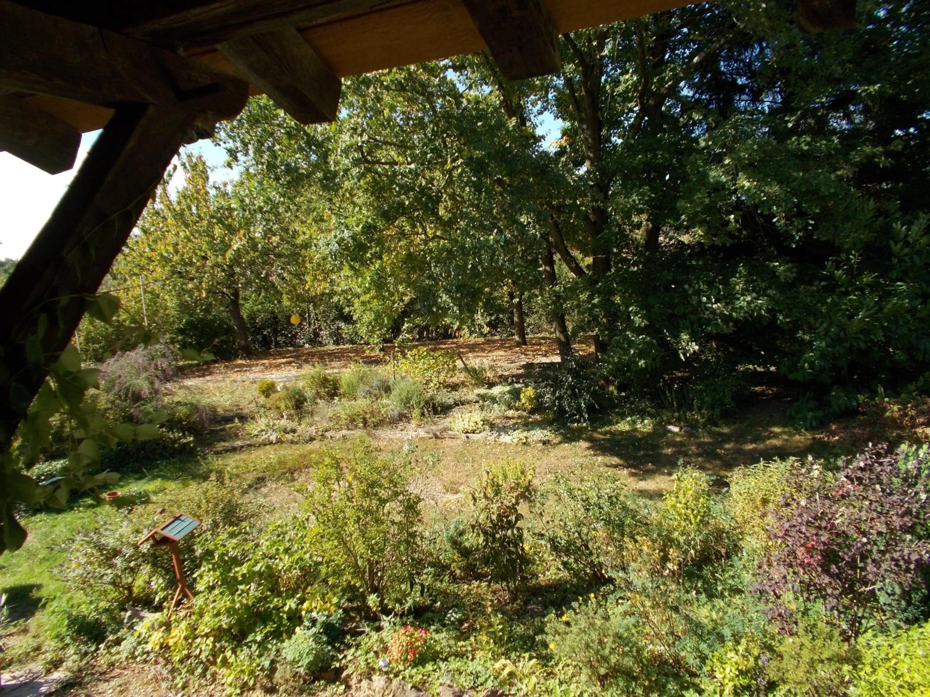 Garden in La Cassinette
