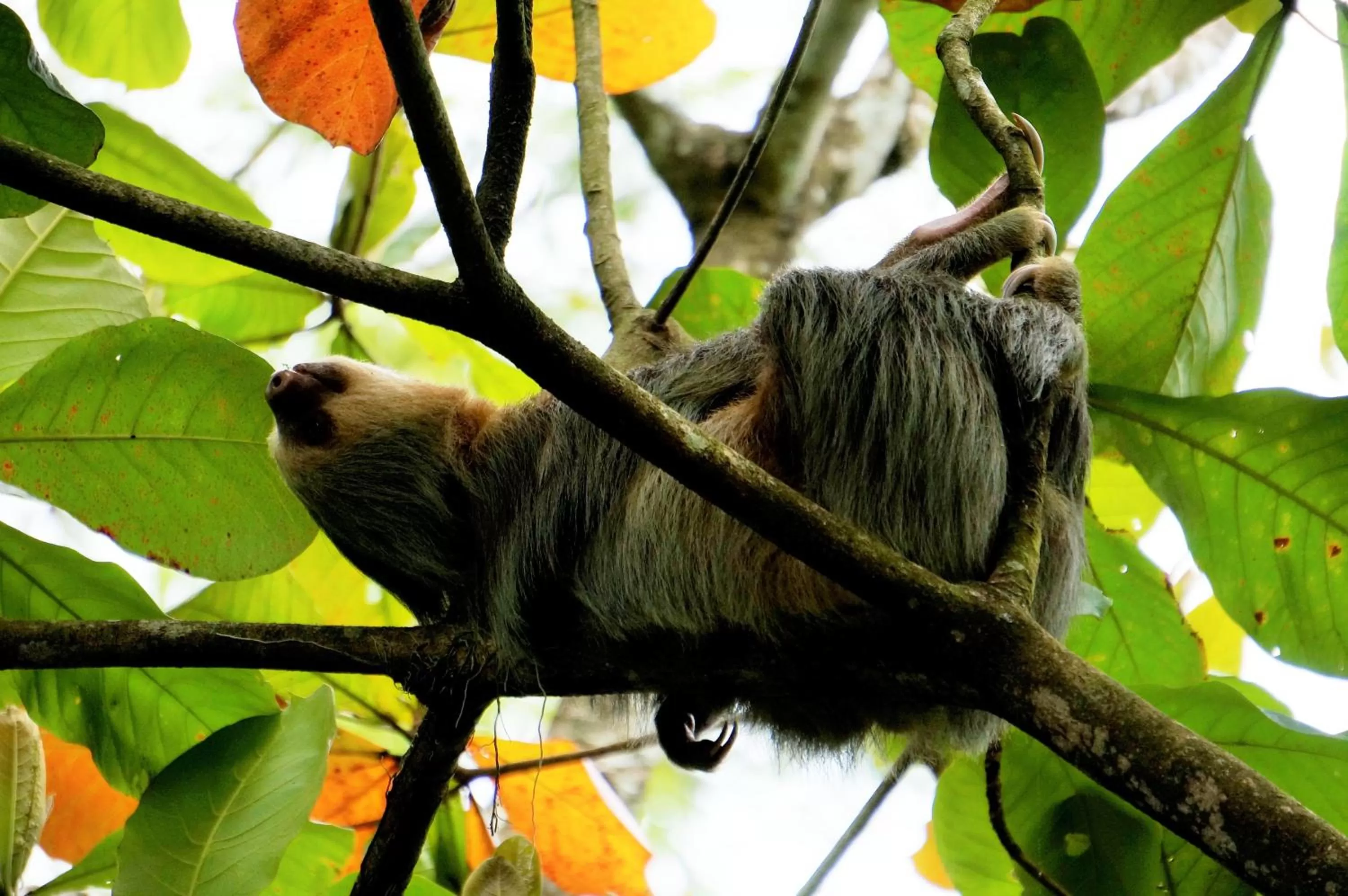 Area and facilities in Hotel Monte Real