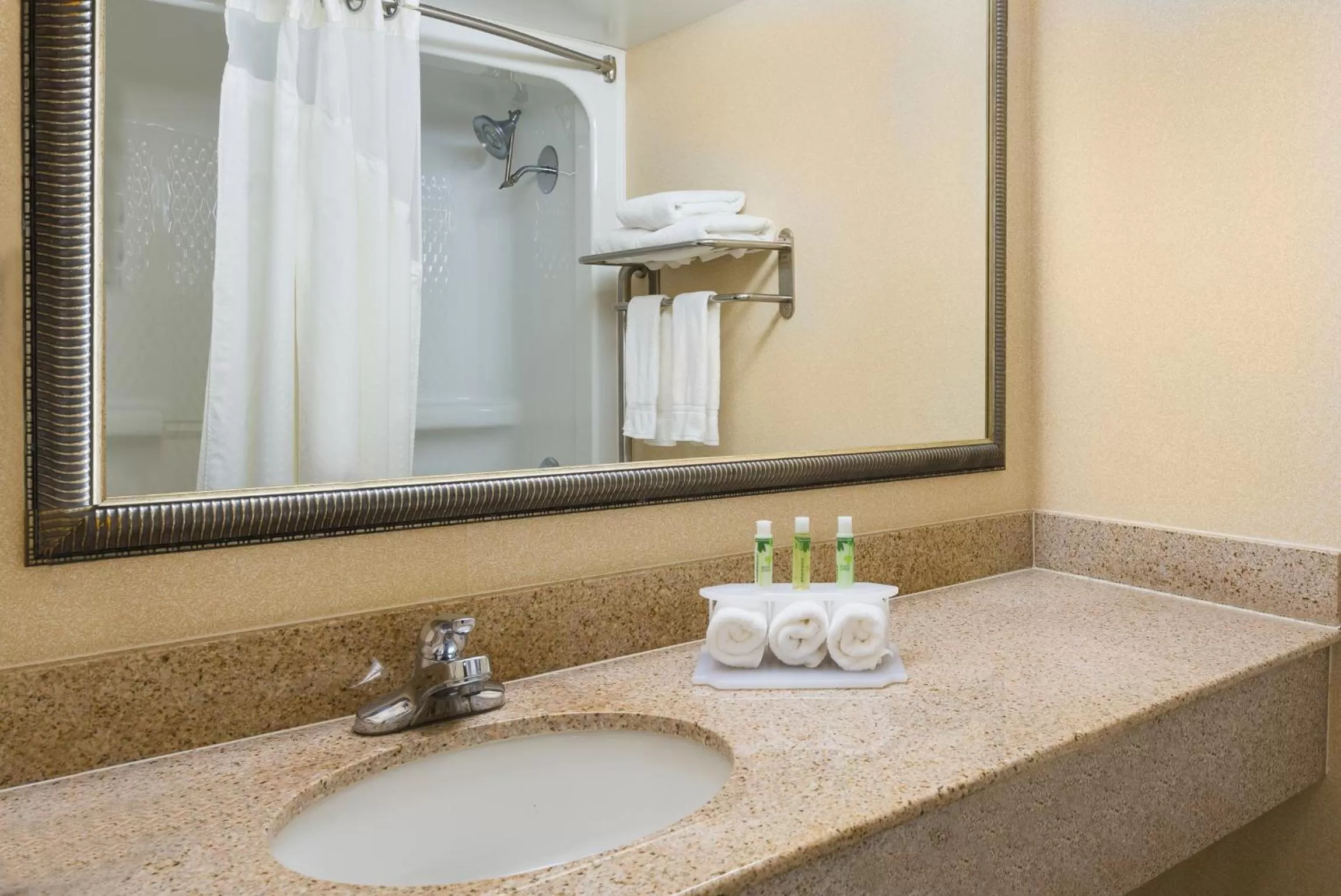 Bathroom in Holiday Inn Express Richmond-Mechanicsville by IHG