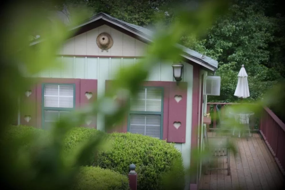 Hidden Springs Bed and Breakfast