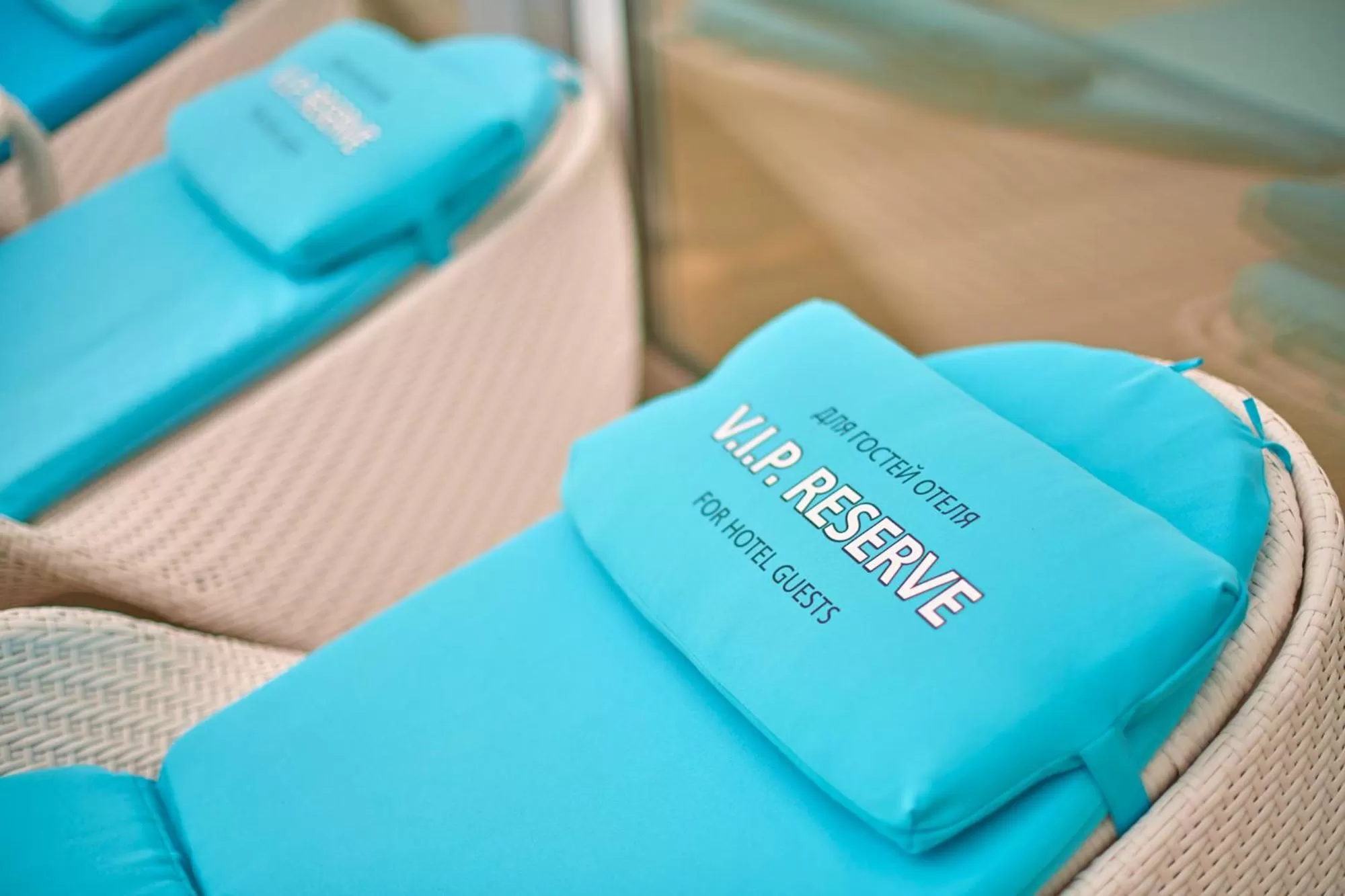 On site in Hotel & Spa NEMO with dolphins