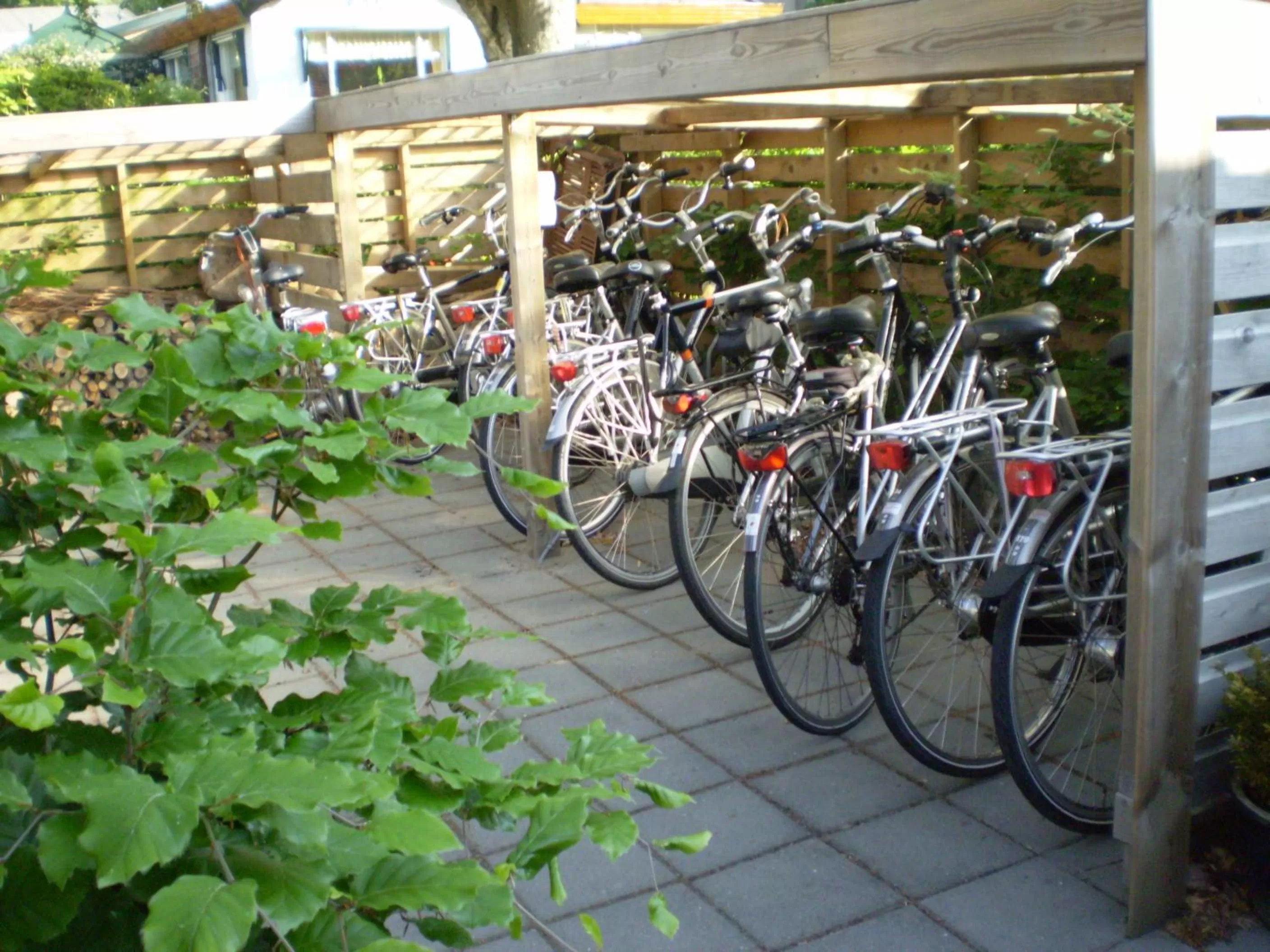 Property building, Other Activities in B&B - Pension Perruque