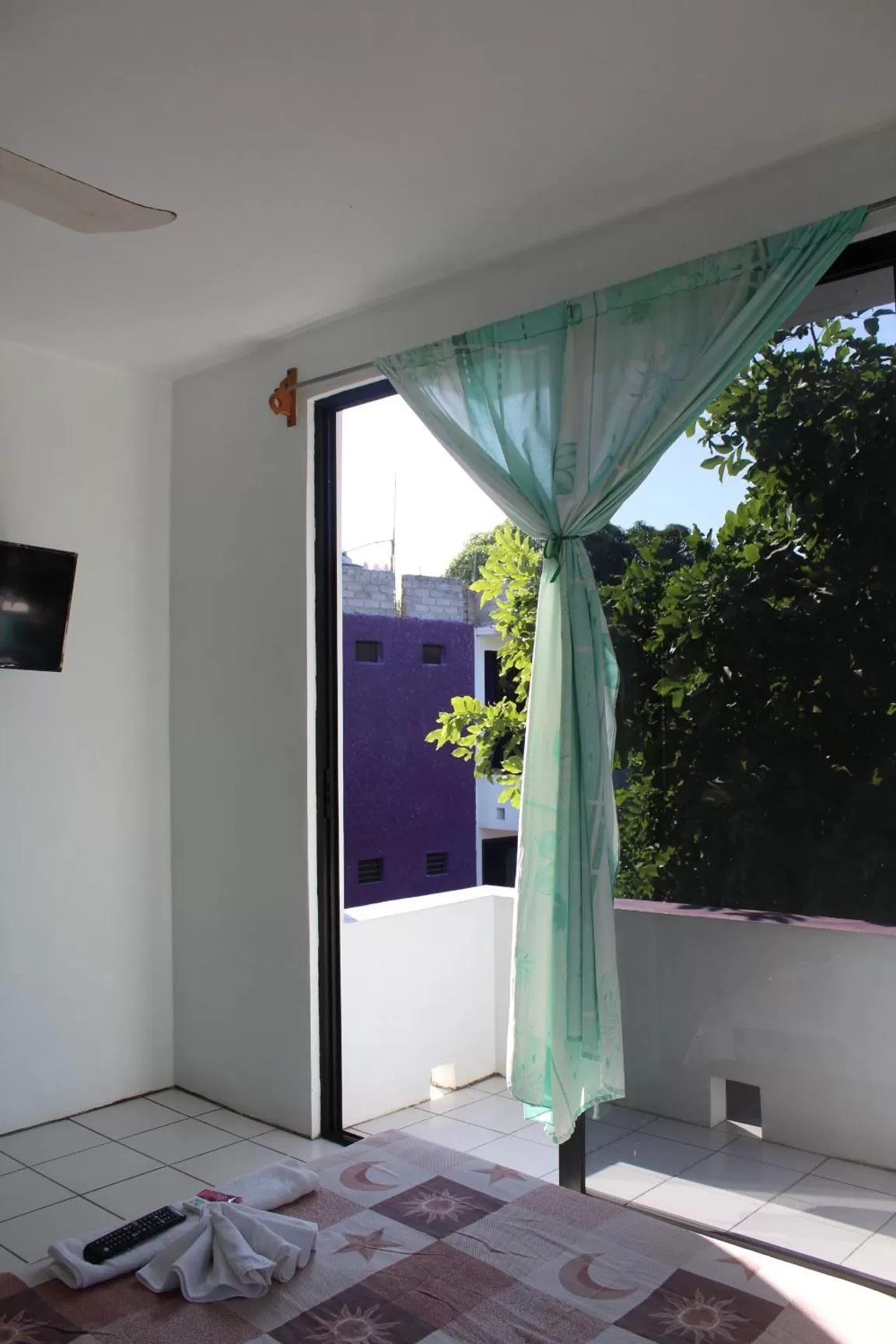 Balcony/Terrace in Hotel Palmarito