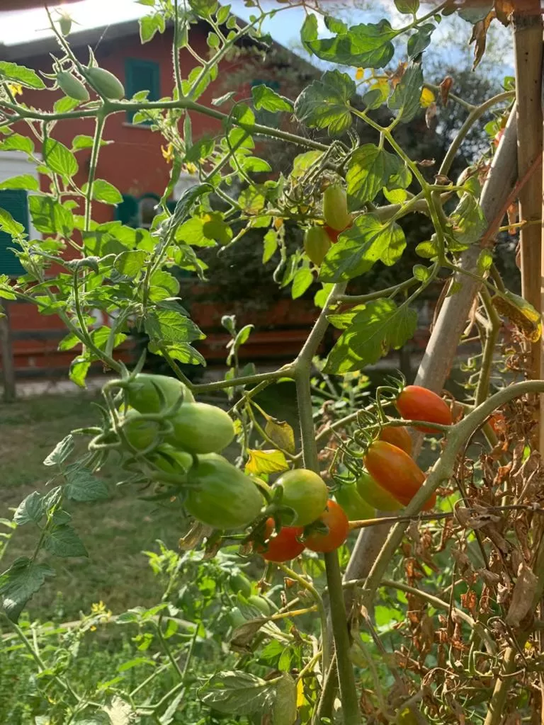 Garden in Agriostello Riparo