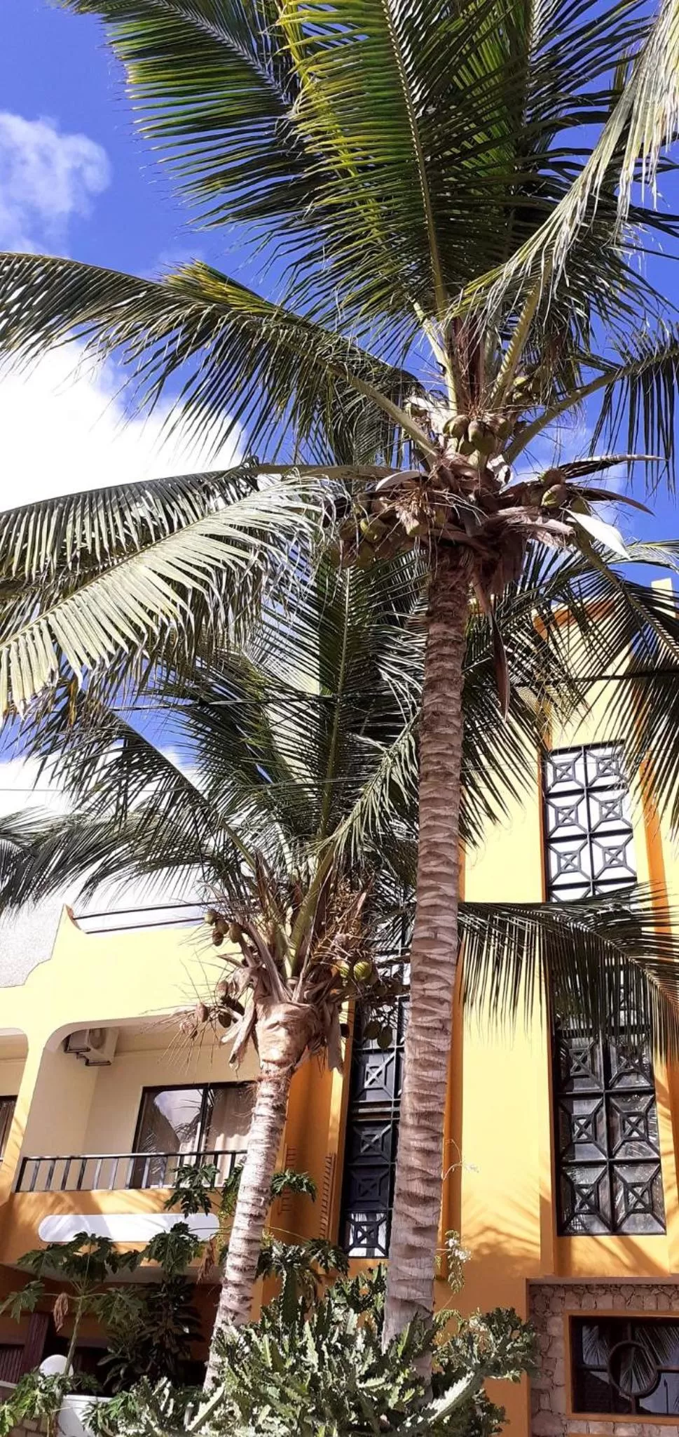 Property building in Aparthotel Santa Maria Beach