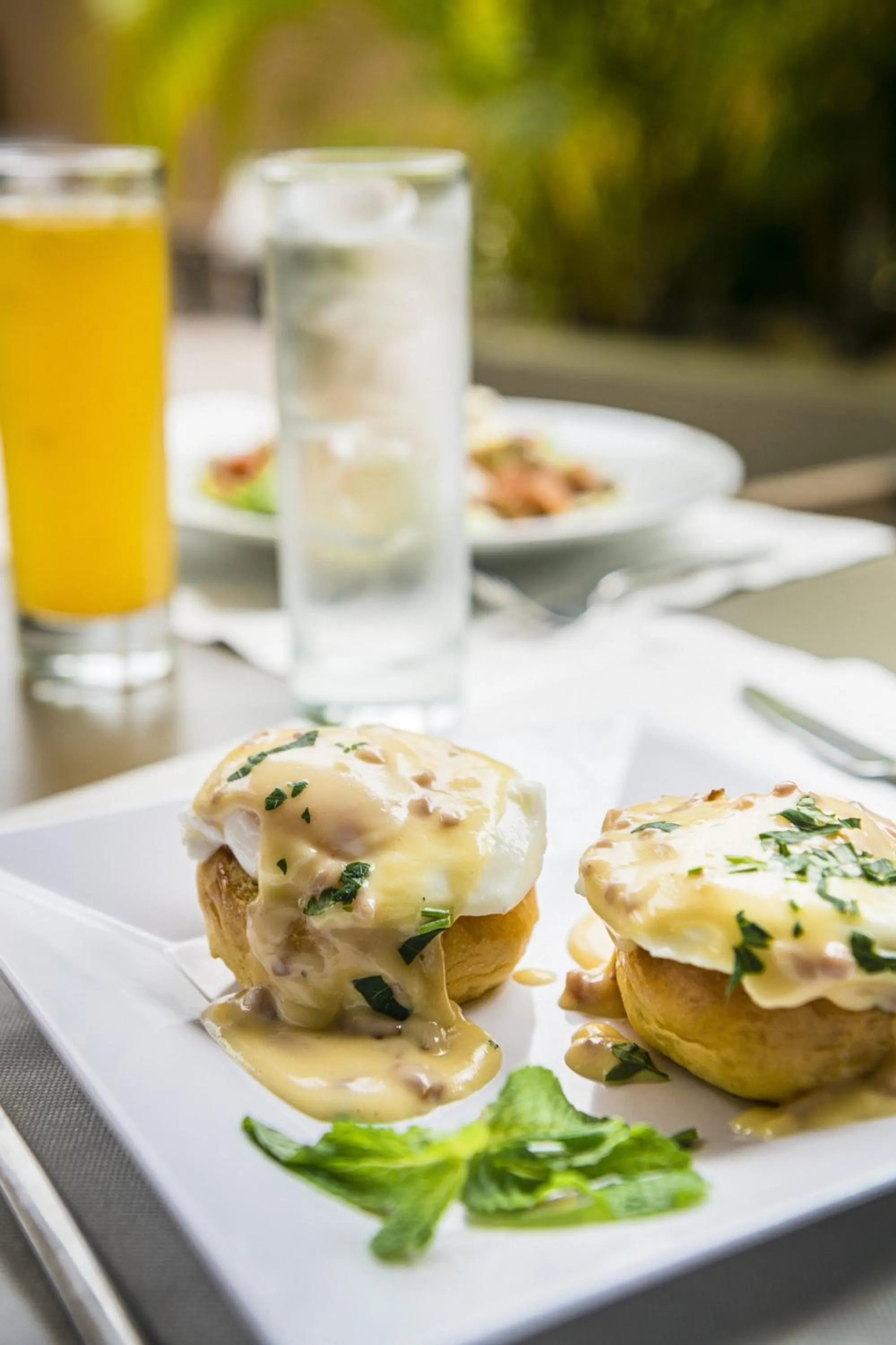 Restaurant/places to eat in Hotel Trópico