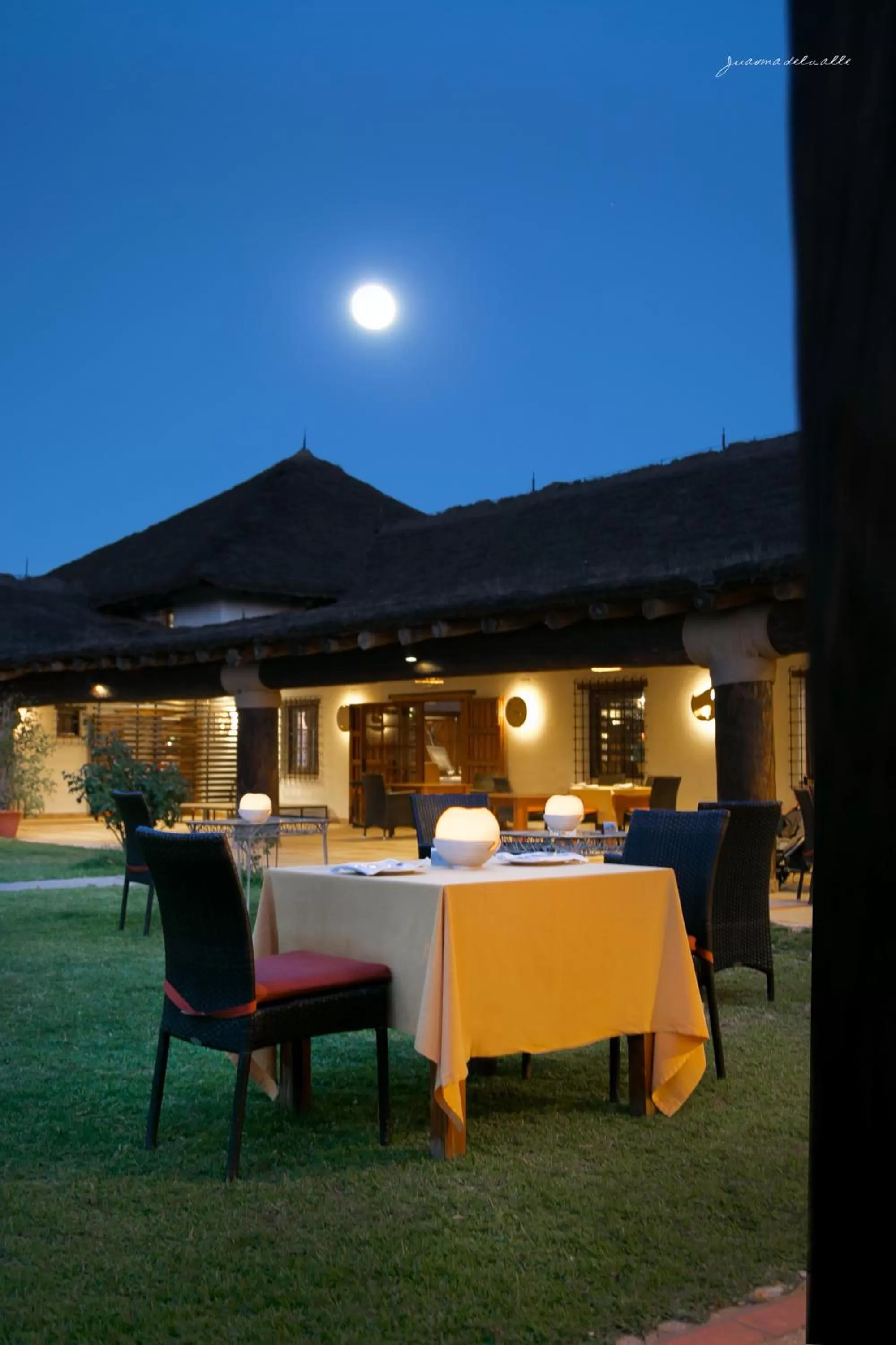 Restaurant/places to eat in Ardea Purpurea