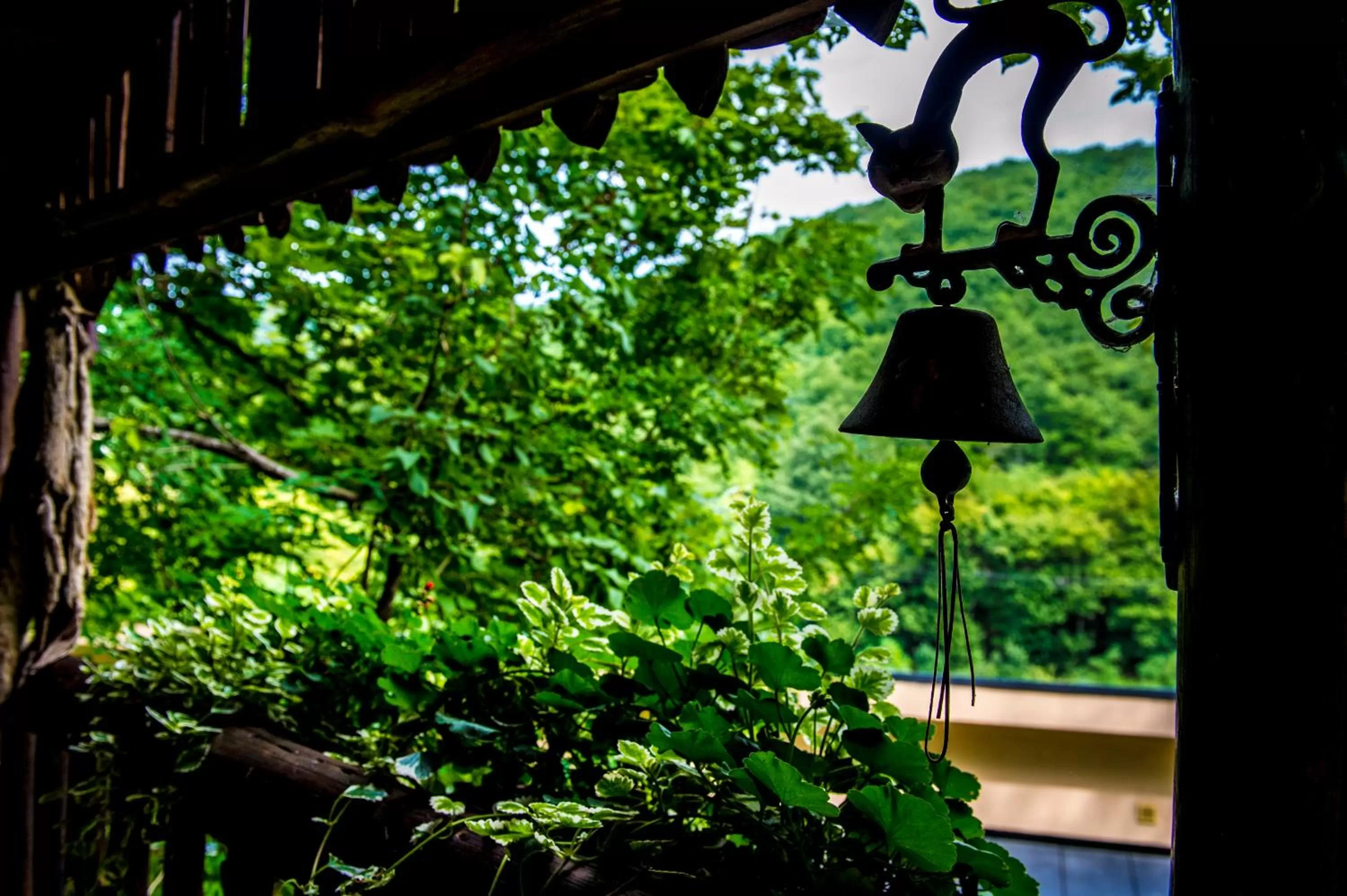 Balcony/Terrace in Patak Park Hotel Visegrád
