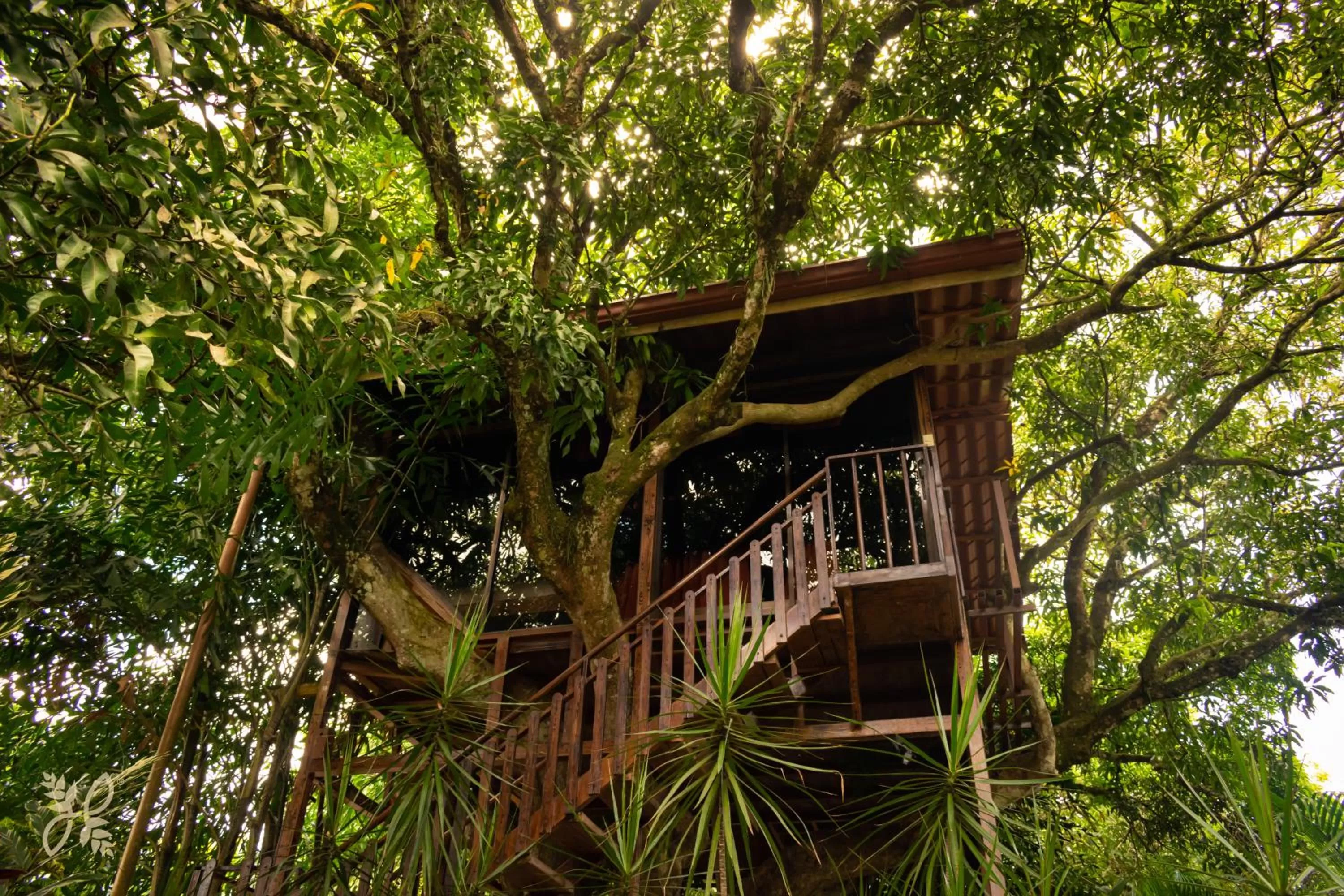 Spring in Hotel Heliconias Nature Inn & Hot Springs