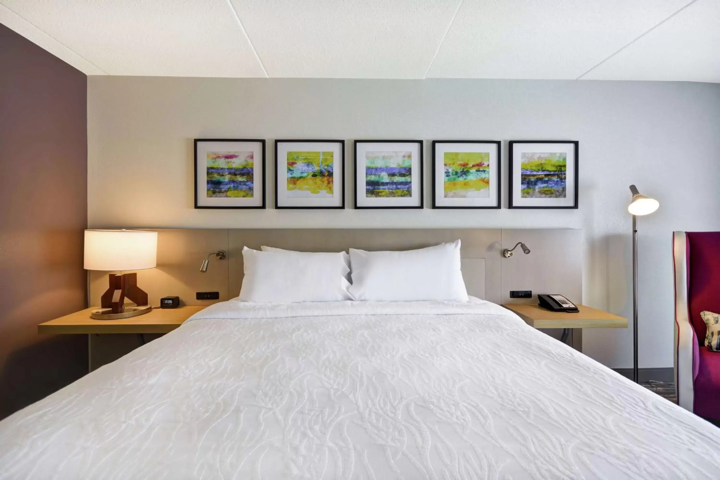 King Room with Tub - Mobility and Hearing Access in Hilton Garden Inn Panama City King Room with Tub - Mobility and Hearing Access in Hilton Garden Inn Panama City