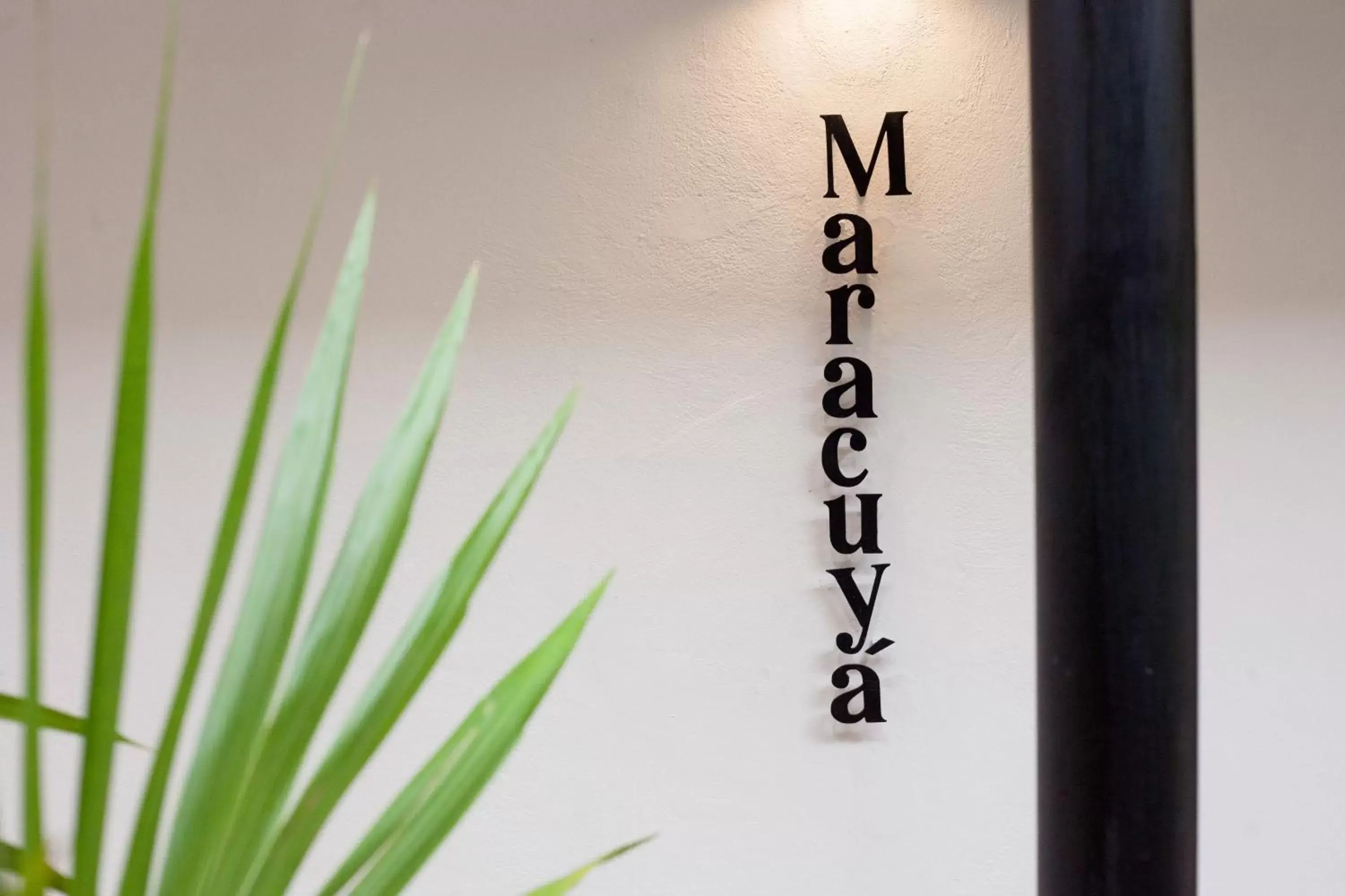 Family Studio in Latino Hotel Boutique Family Studio in Latino Hotel Boutique