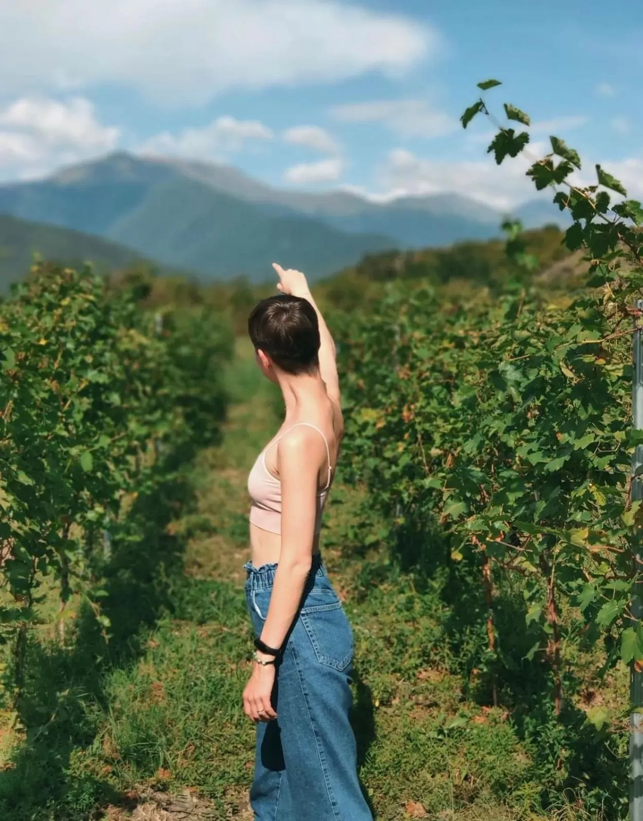 Activities in Chubini Winery & Cabins