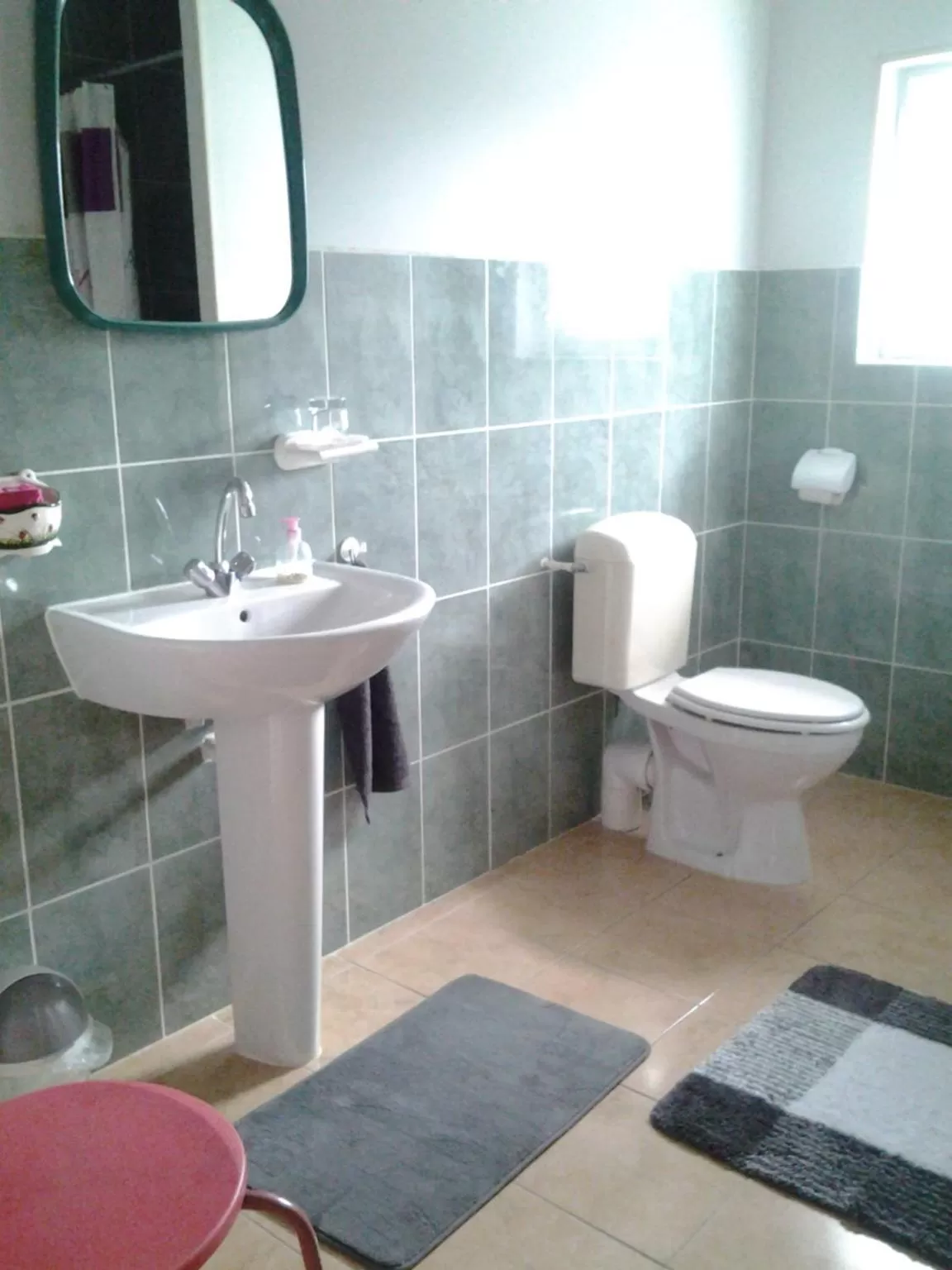 Toilet in La Parisiere