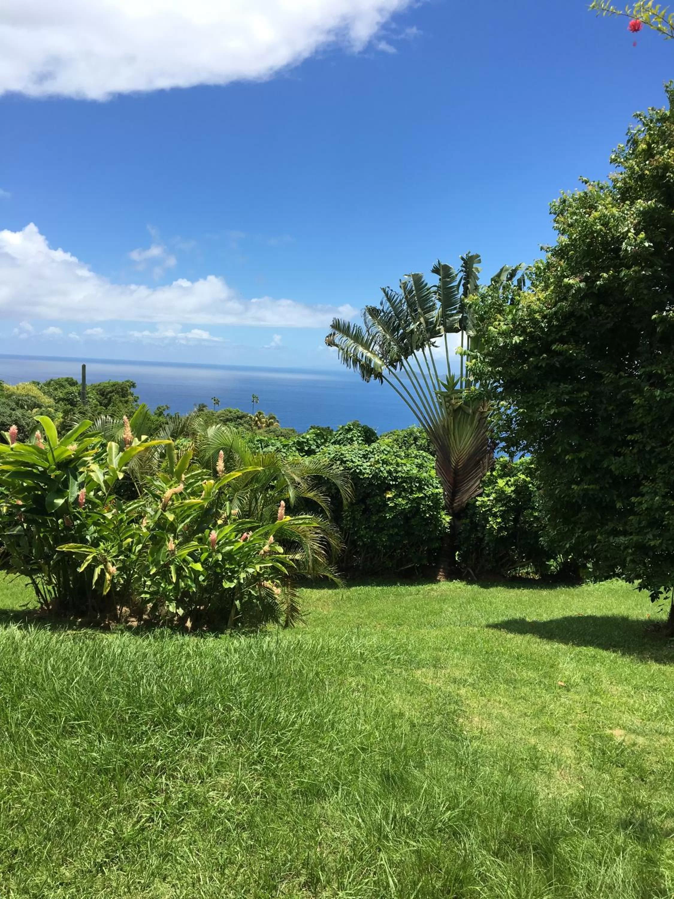 Villa Cajou (Chambre d'hôtes chez l'habitant)