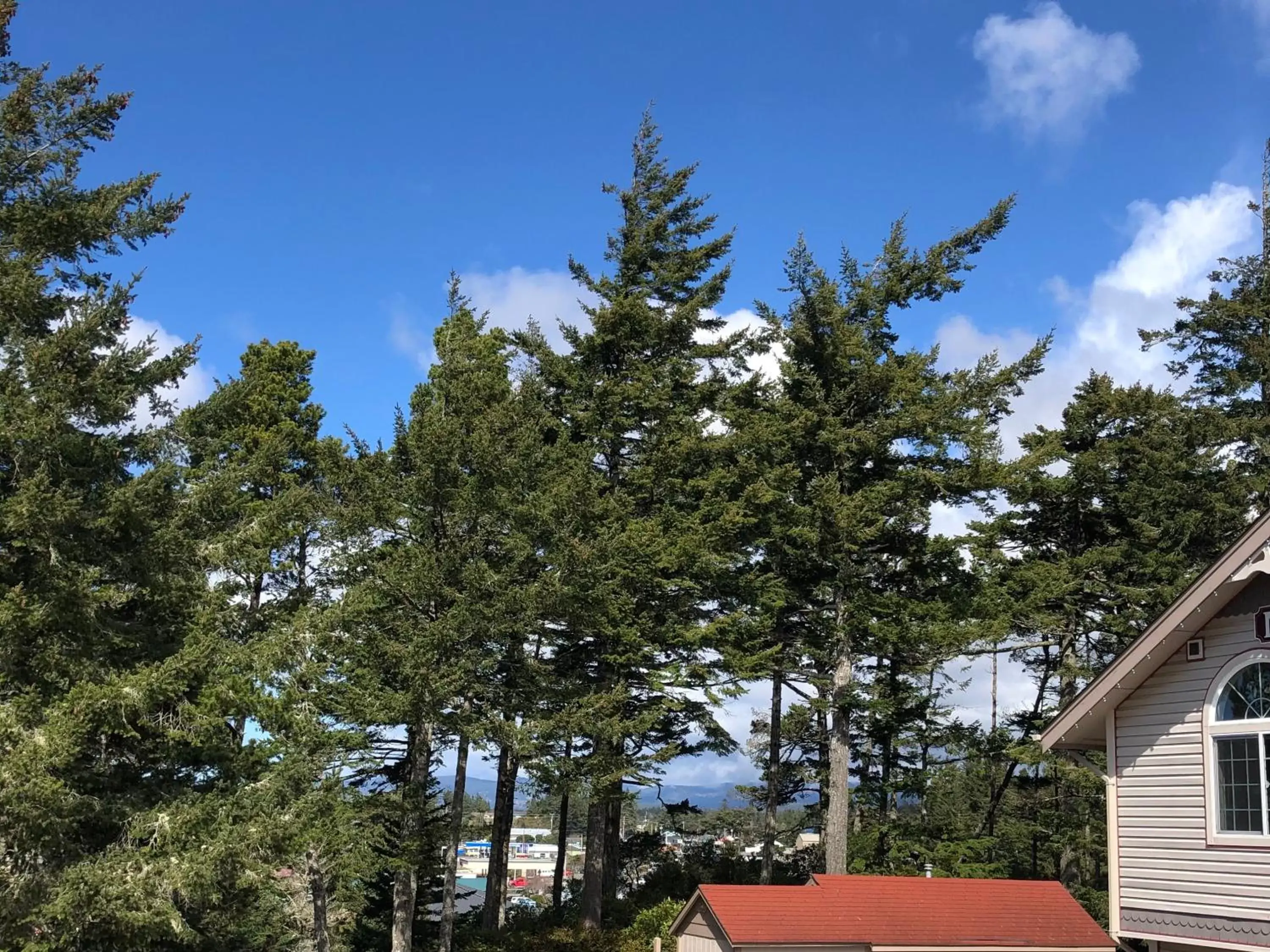 Family Room in The Landmark Inn Family Room in The Landmark Inn