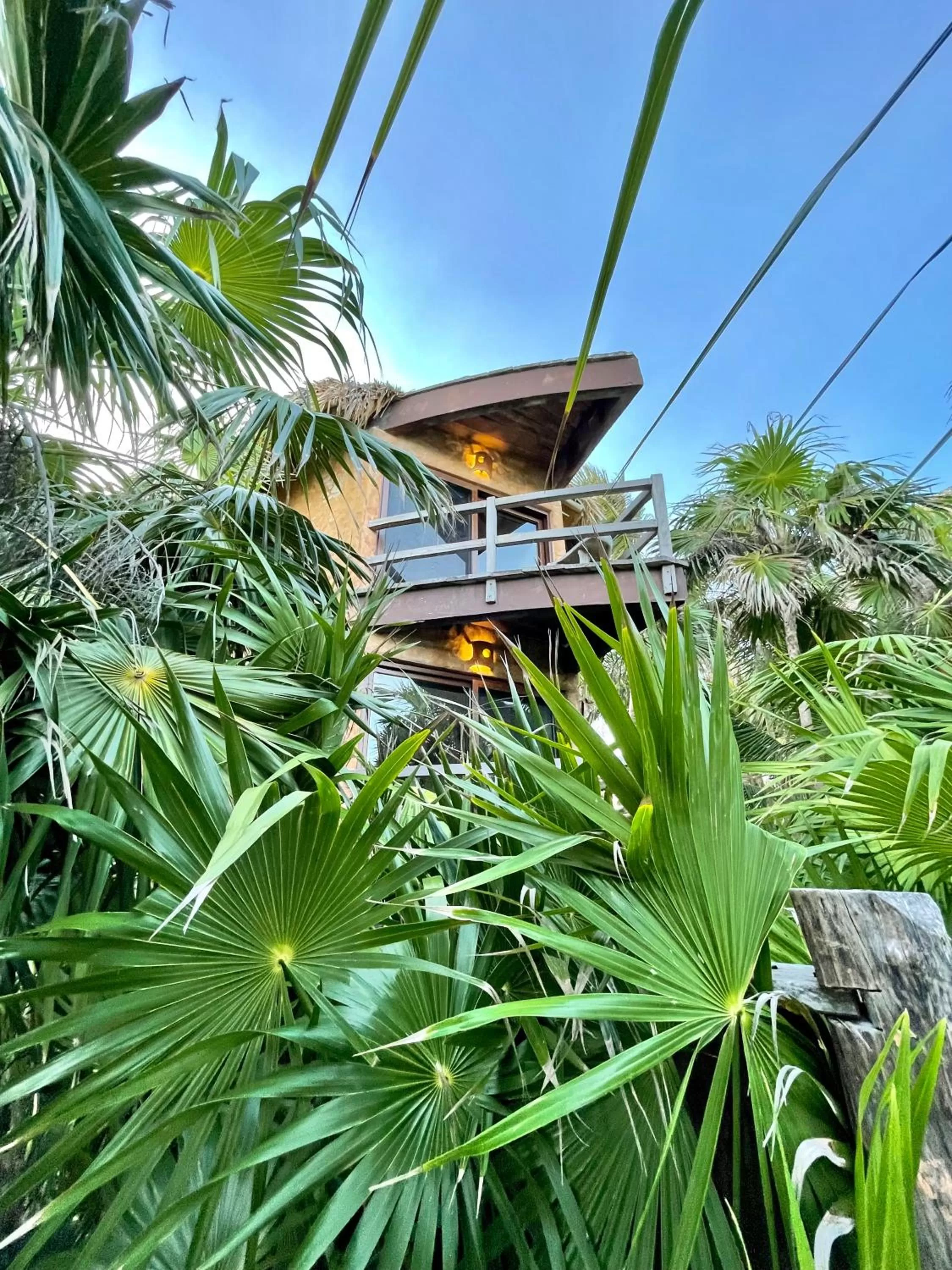 Property building in Sueños Tulum