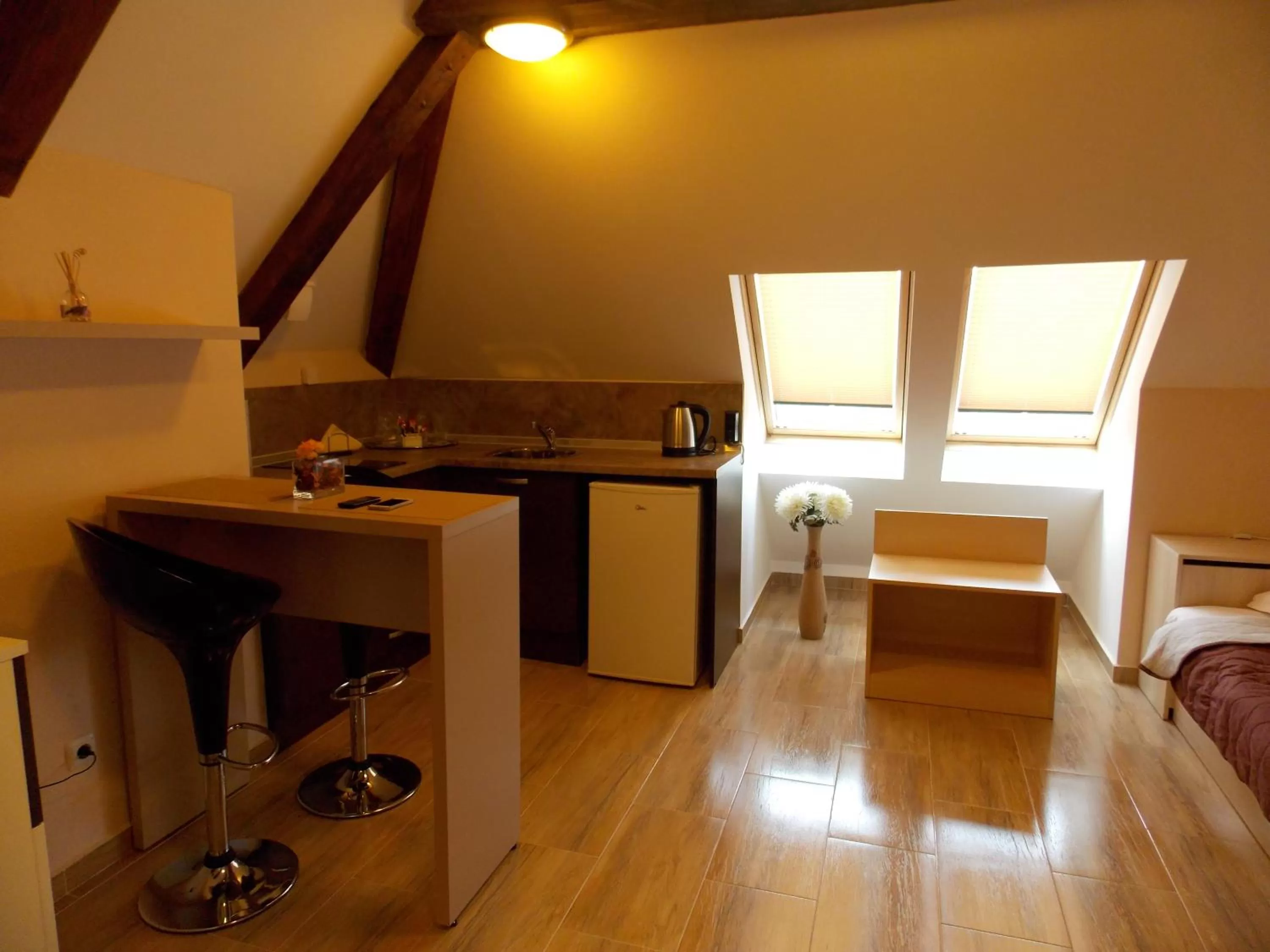 Coffee/tea facilities, Kitchen/Kitchenette in Apart Hotel Rosen