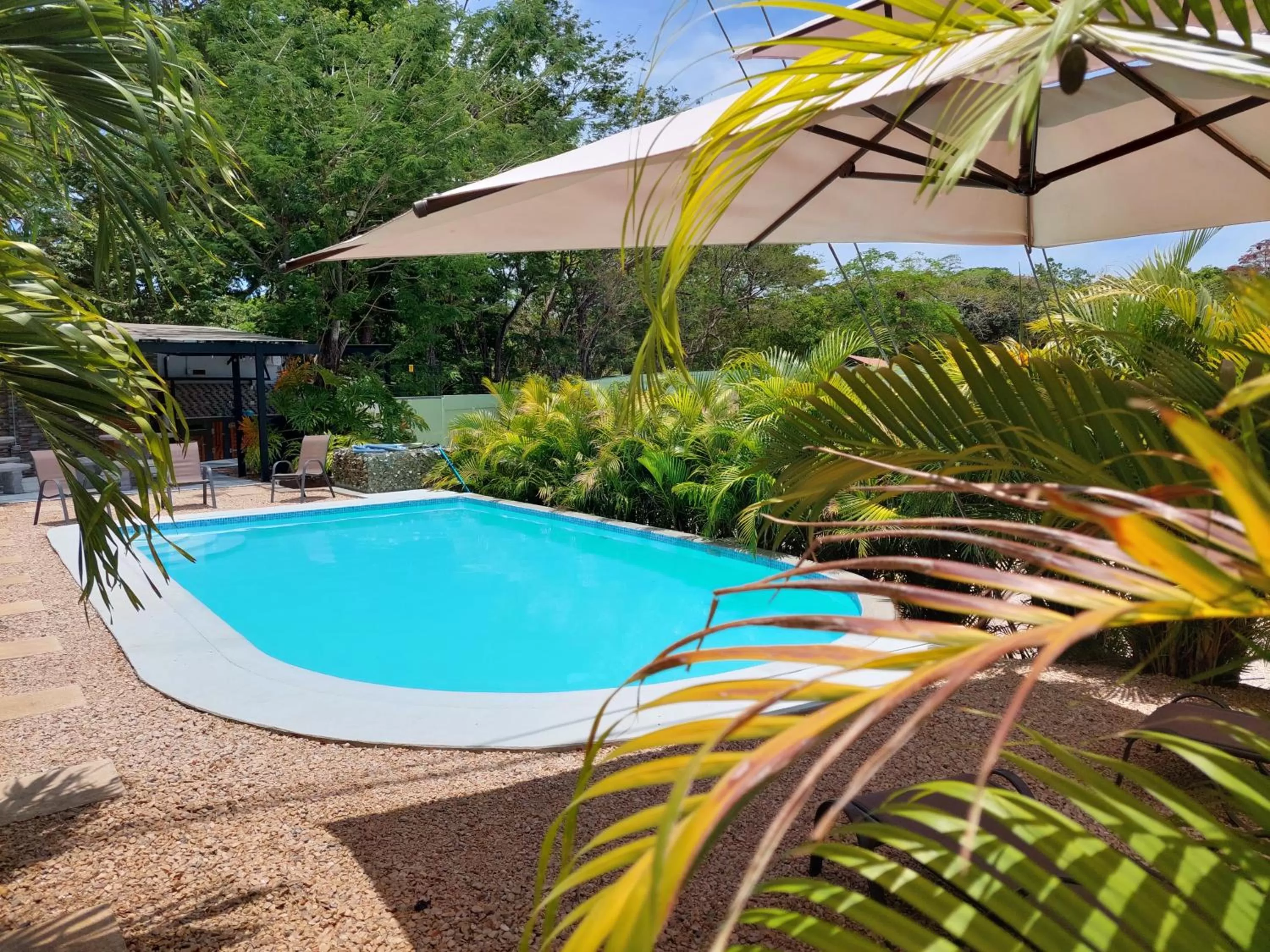 Pool view, Swimming Pool in Hotel Casa Carlota Tamarindo