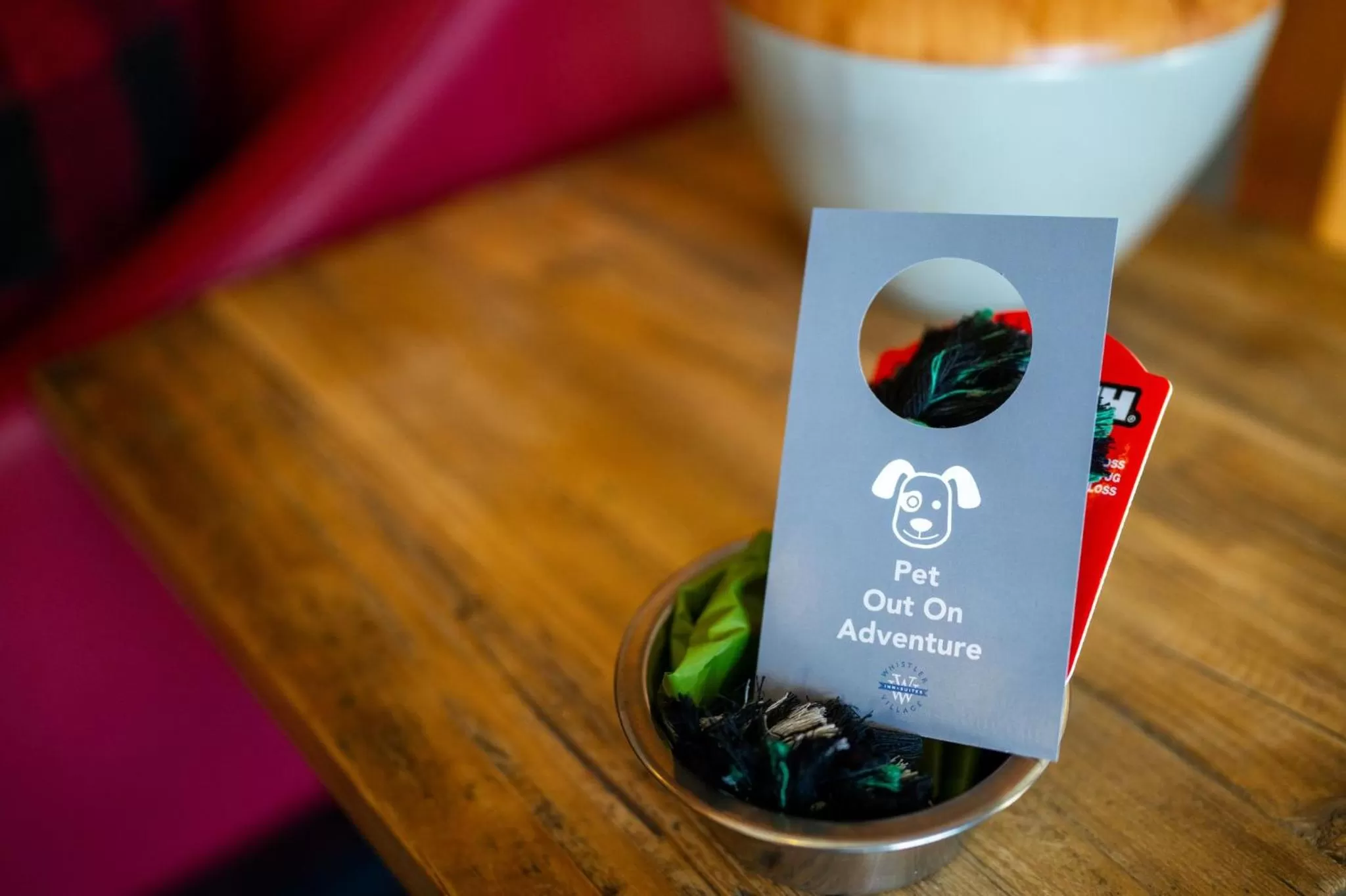 Pets in Whistler Village Inn & Suites