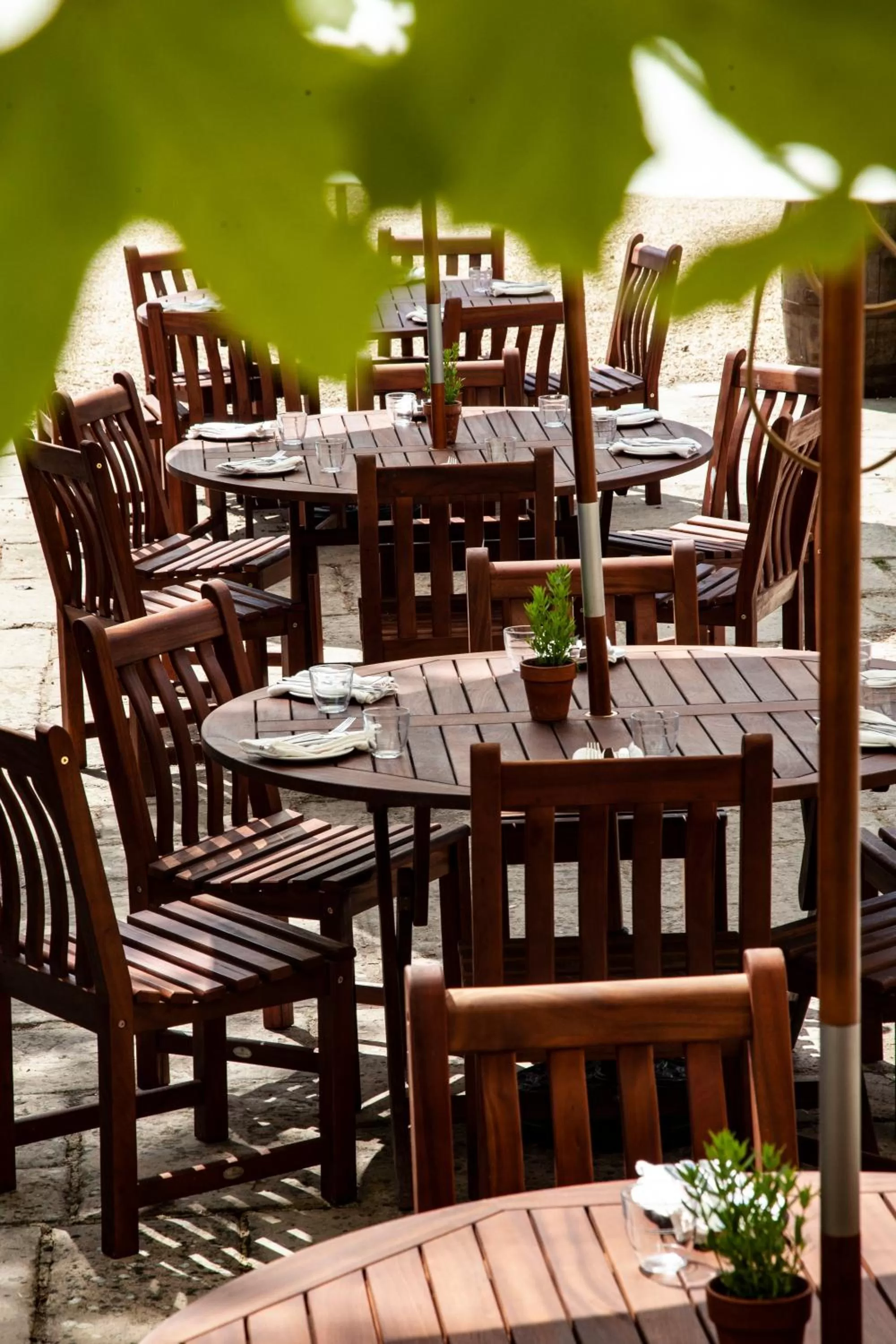 Garden in The Lamb Inn