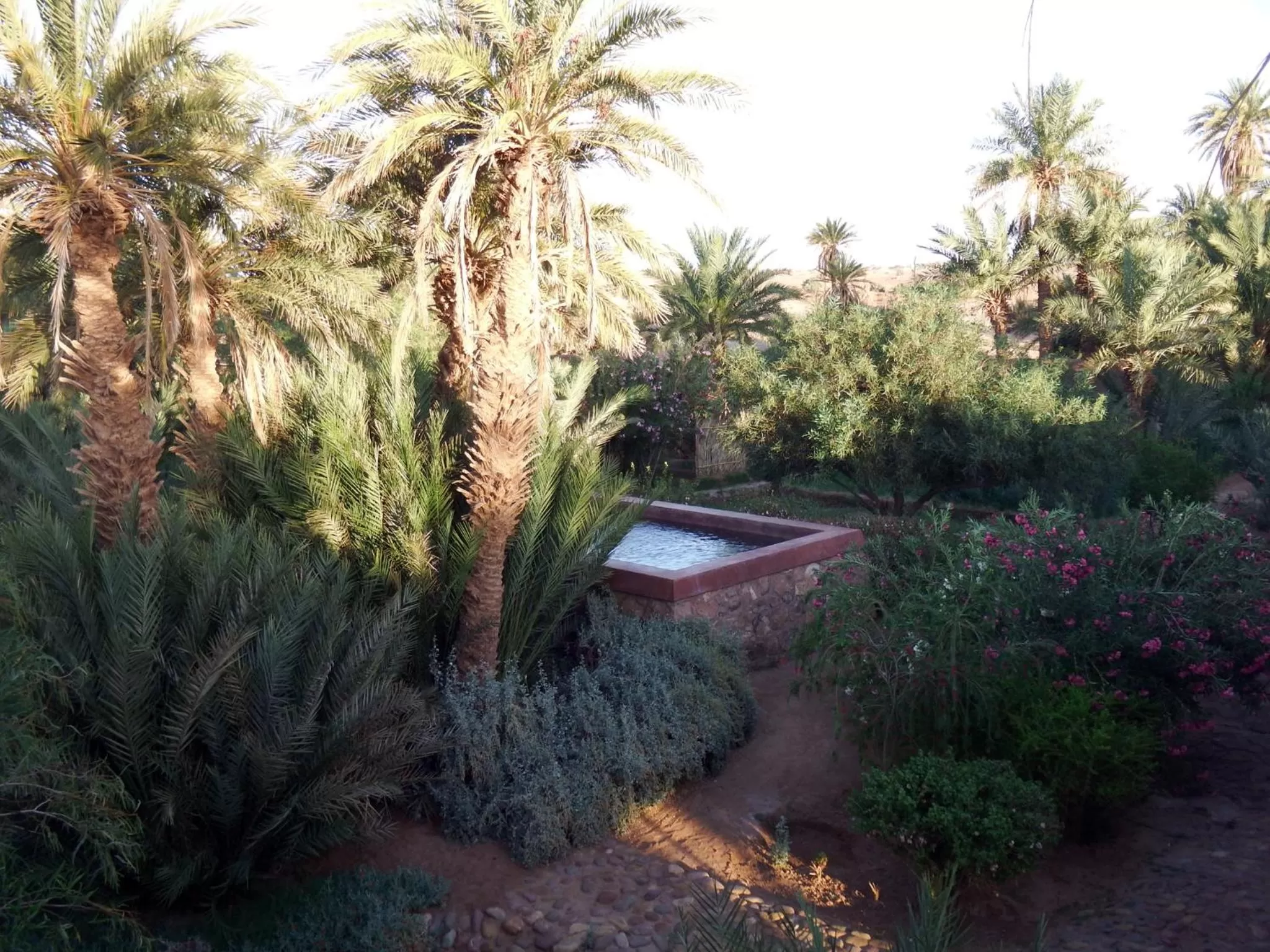 Garden, Swimming Pool in Dar Paru