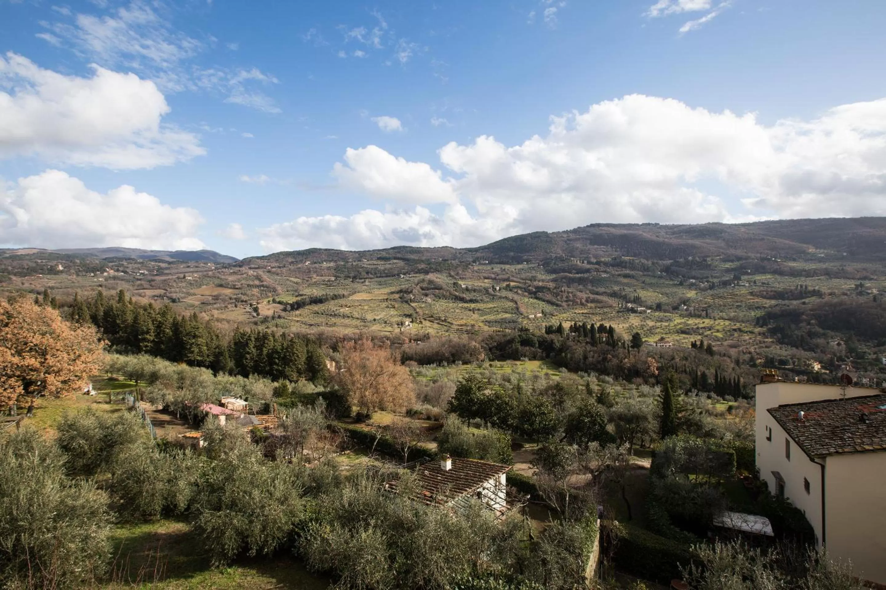 Garden view in Independent loft on Florence's hills