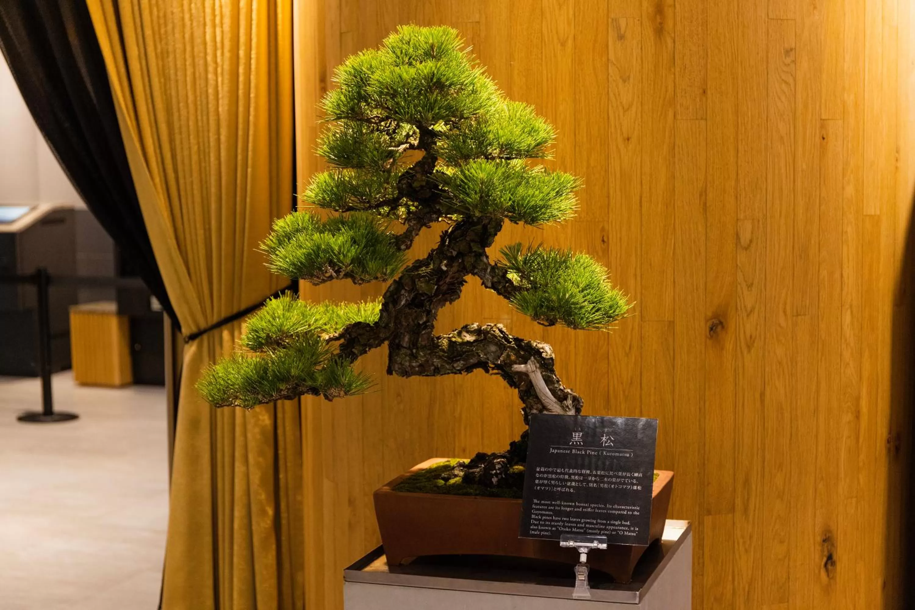 Lobby or reception in Shinjuku Washington Hotel