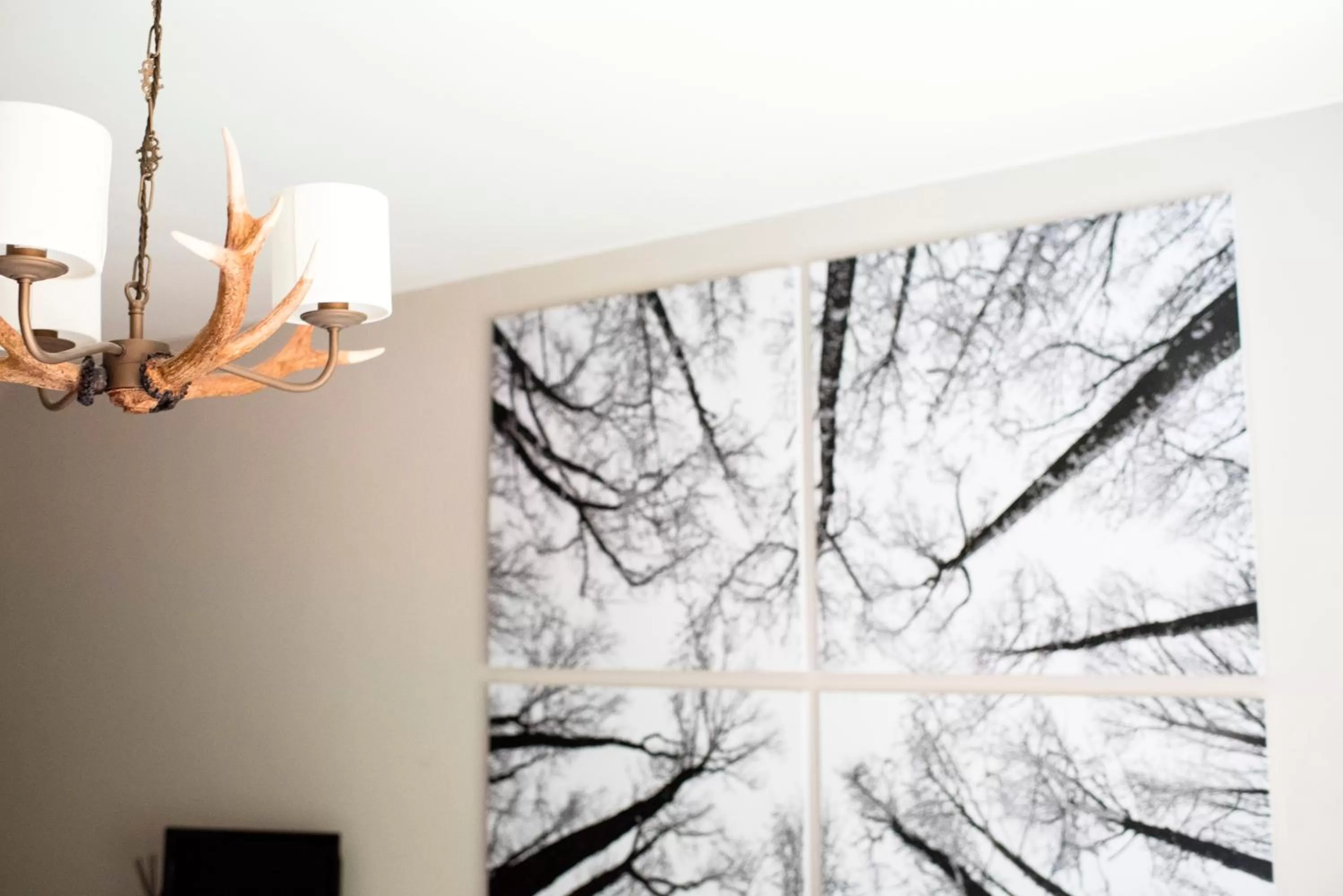 Decorative detail in Crazy Fox Hurley Boutique B&B