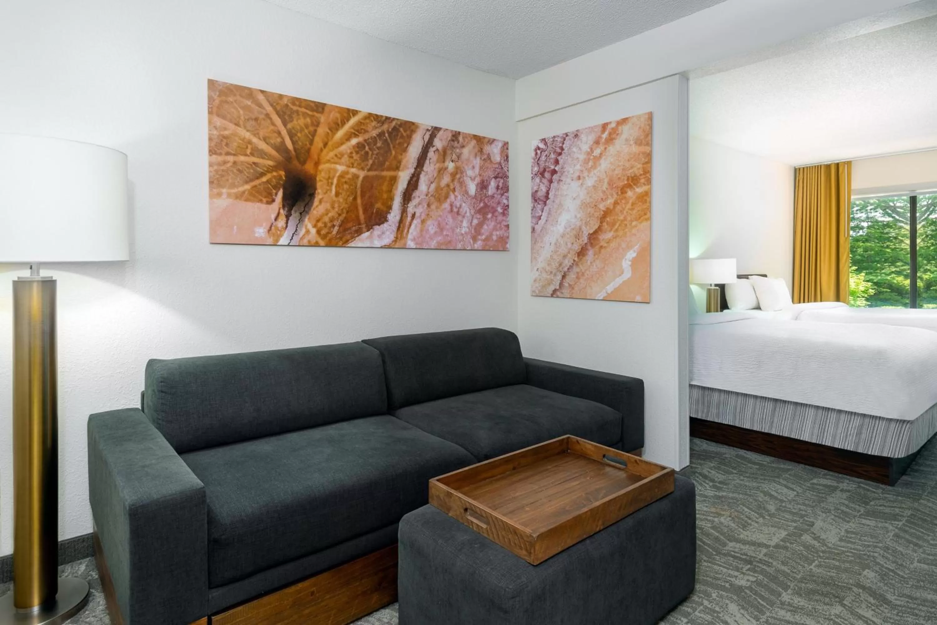 Photo of the whole room, Bed in SpringHill Suites Asheville