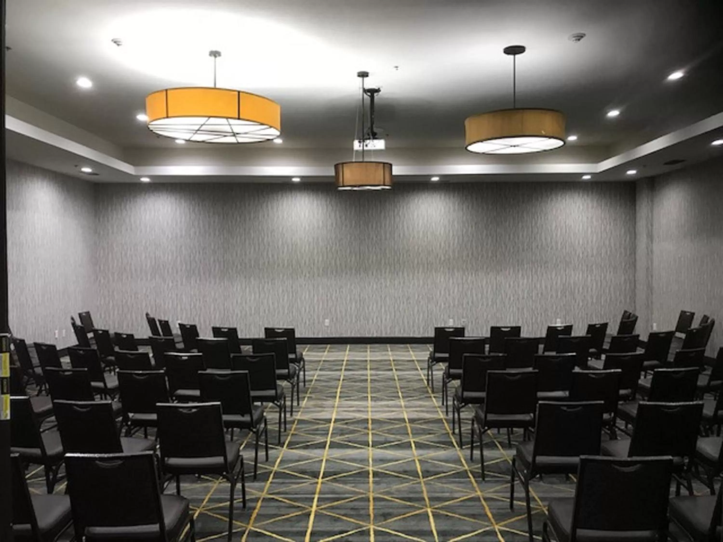 Meeting/conference room in Holiday Inn & Suites McKinney - N Allen by IHG