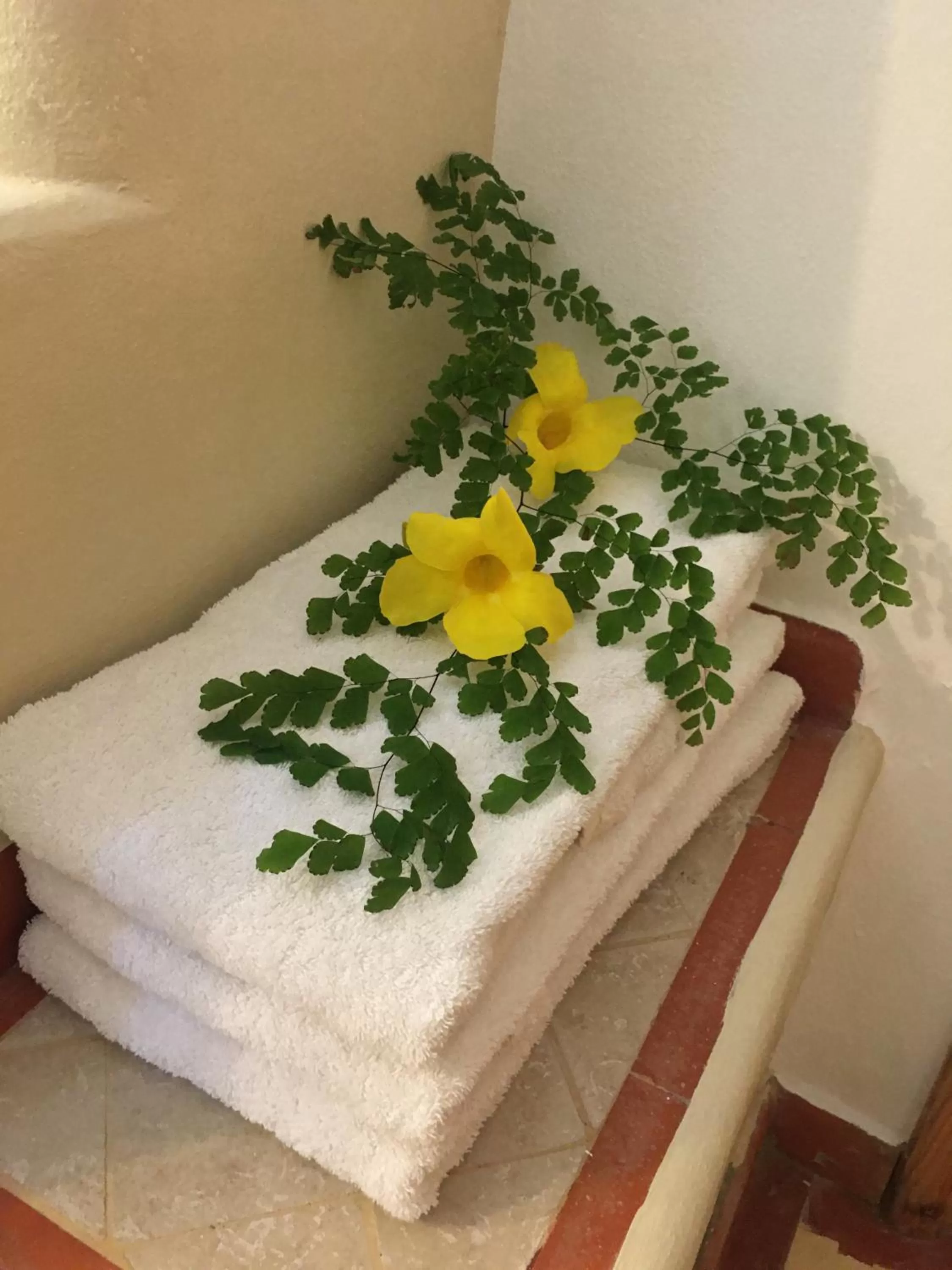 Hotel - Residencial Madrugada