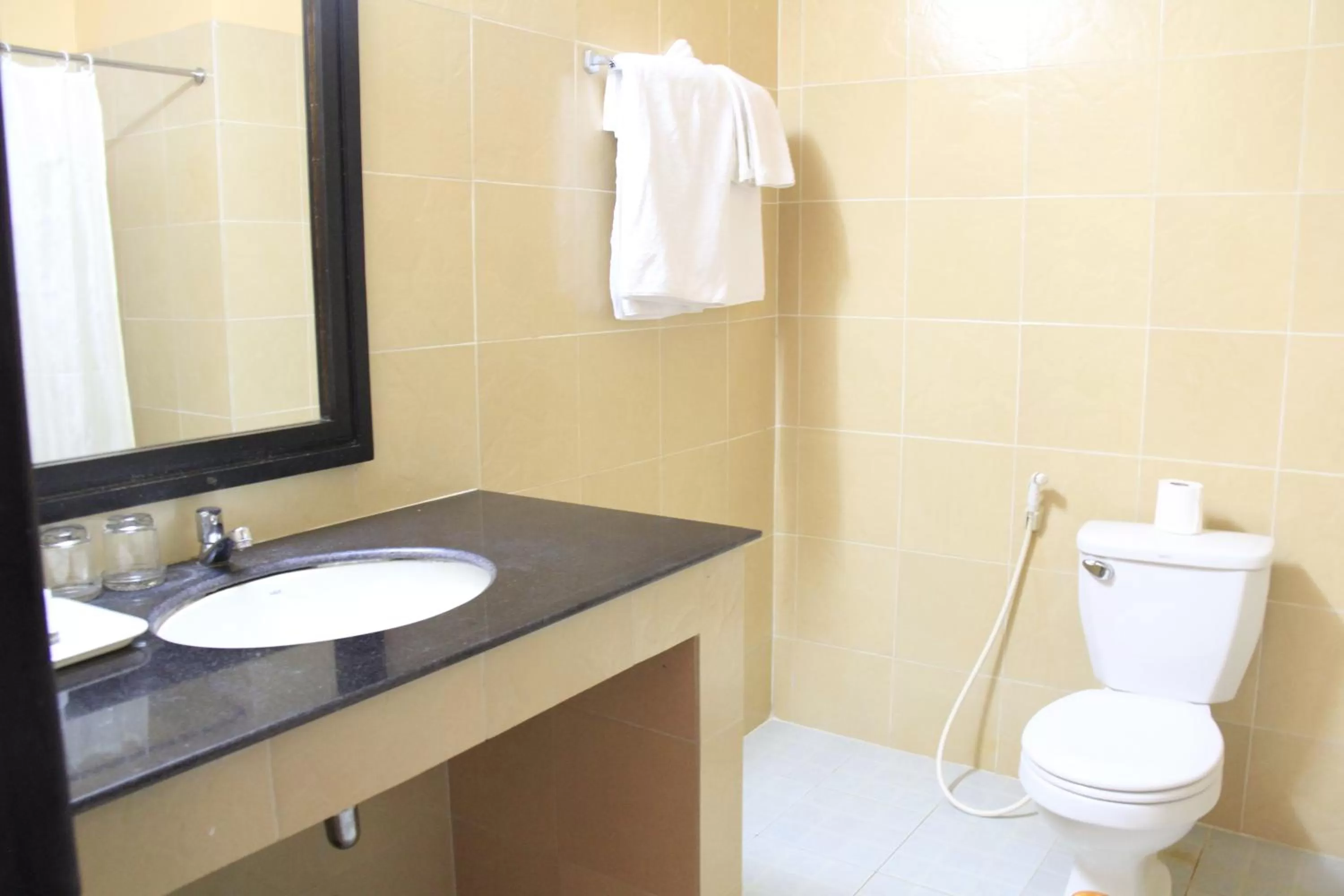 Mekong Angkor Palace Inn