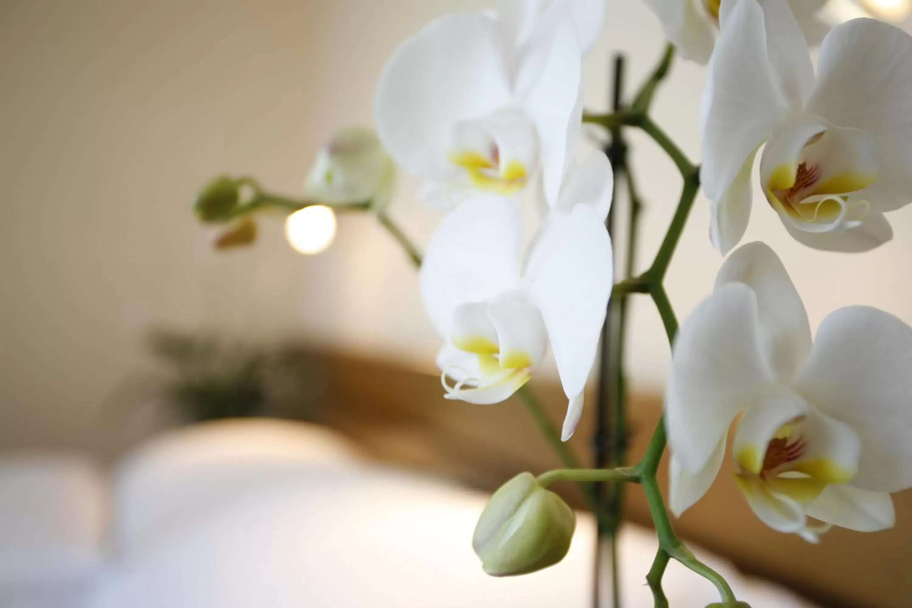 Standard Double Room in Ambassador Self Check-in Hotel Standard Double Room in Ambassador Self Check-in Hotel