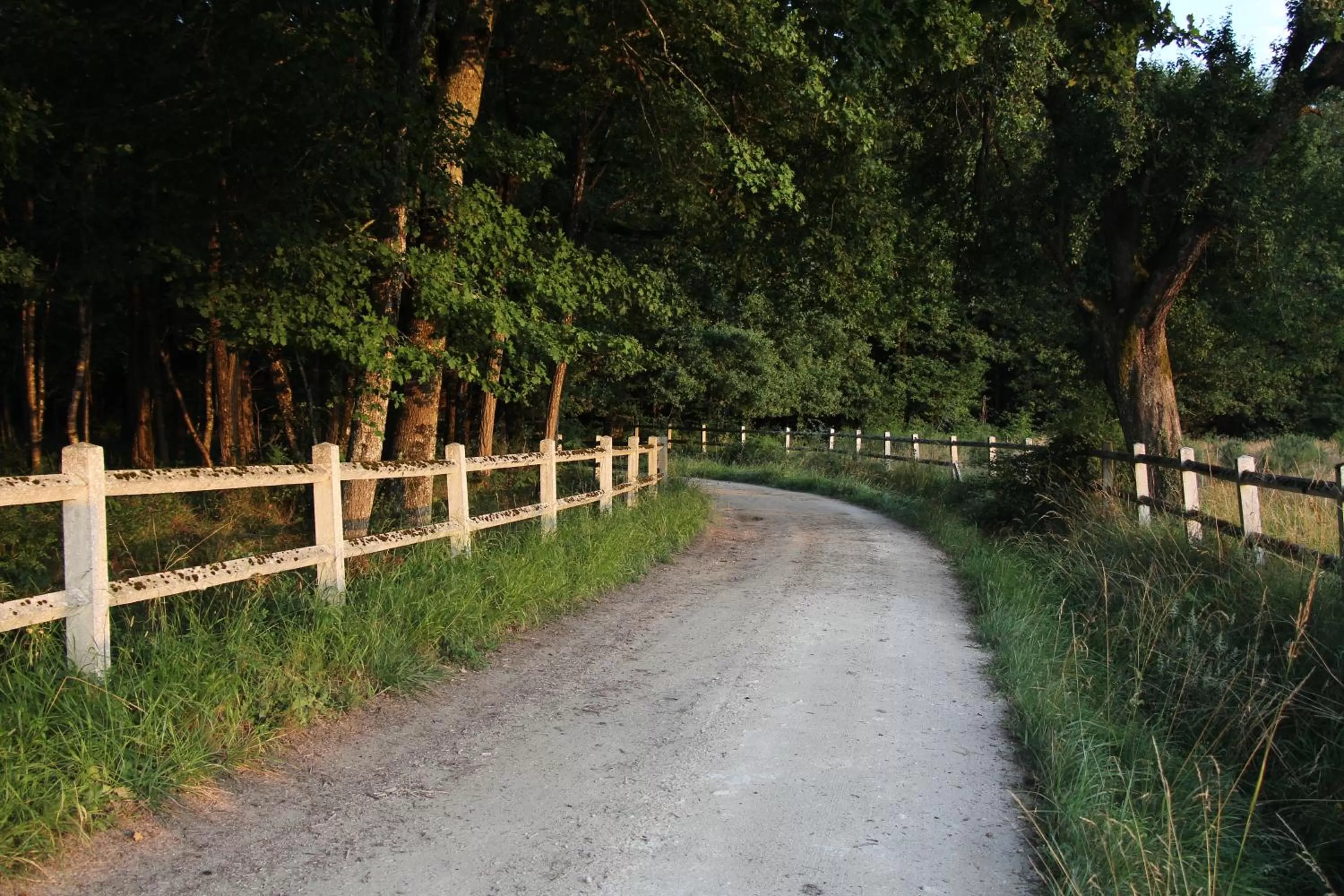 Other in Chambres et Table d'Hôtes Les Machetières