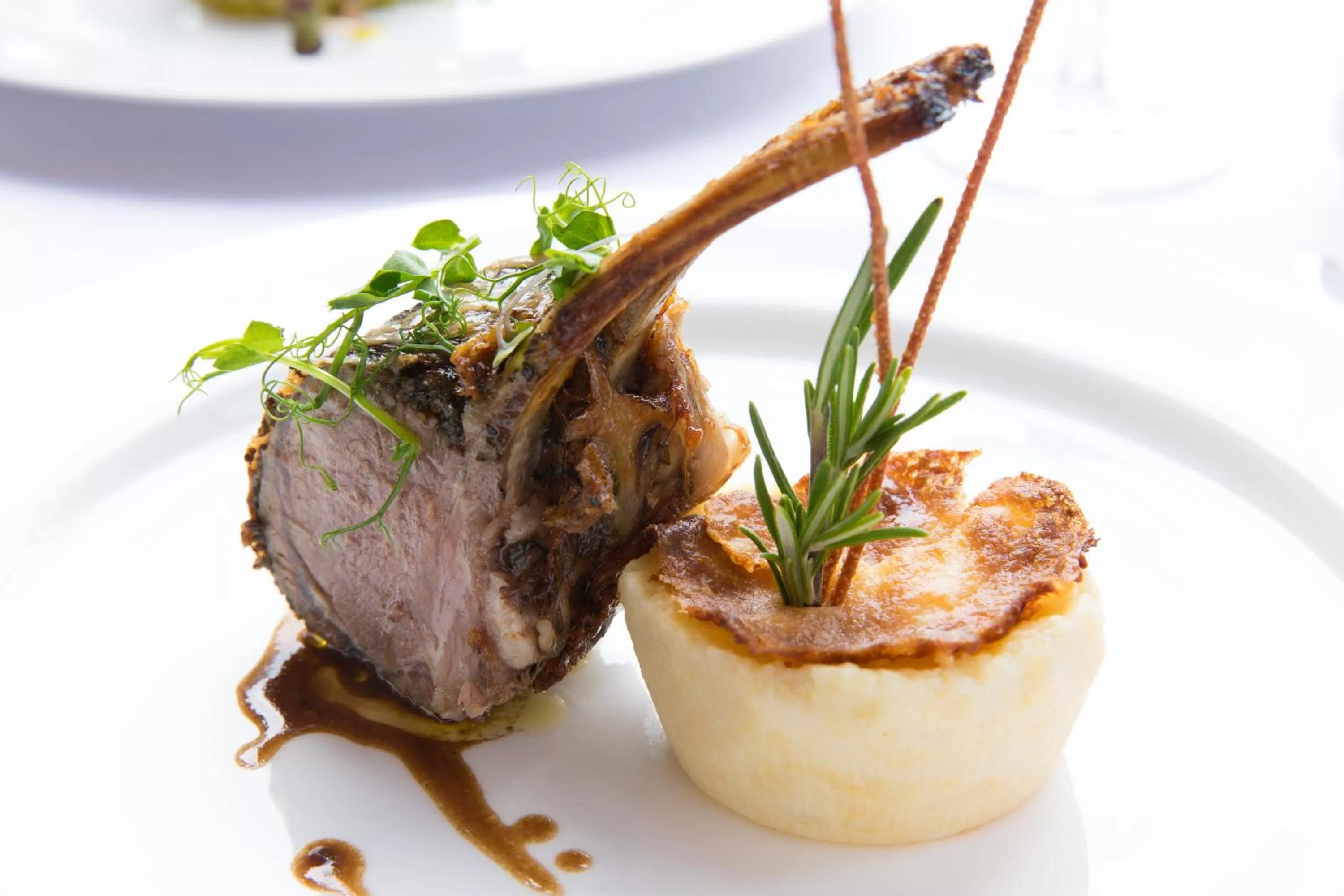 Food in Grand Hotel Castrocaro Longlife Formula