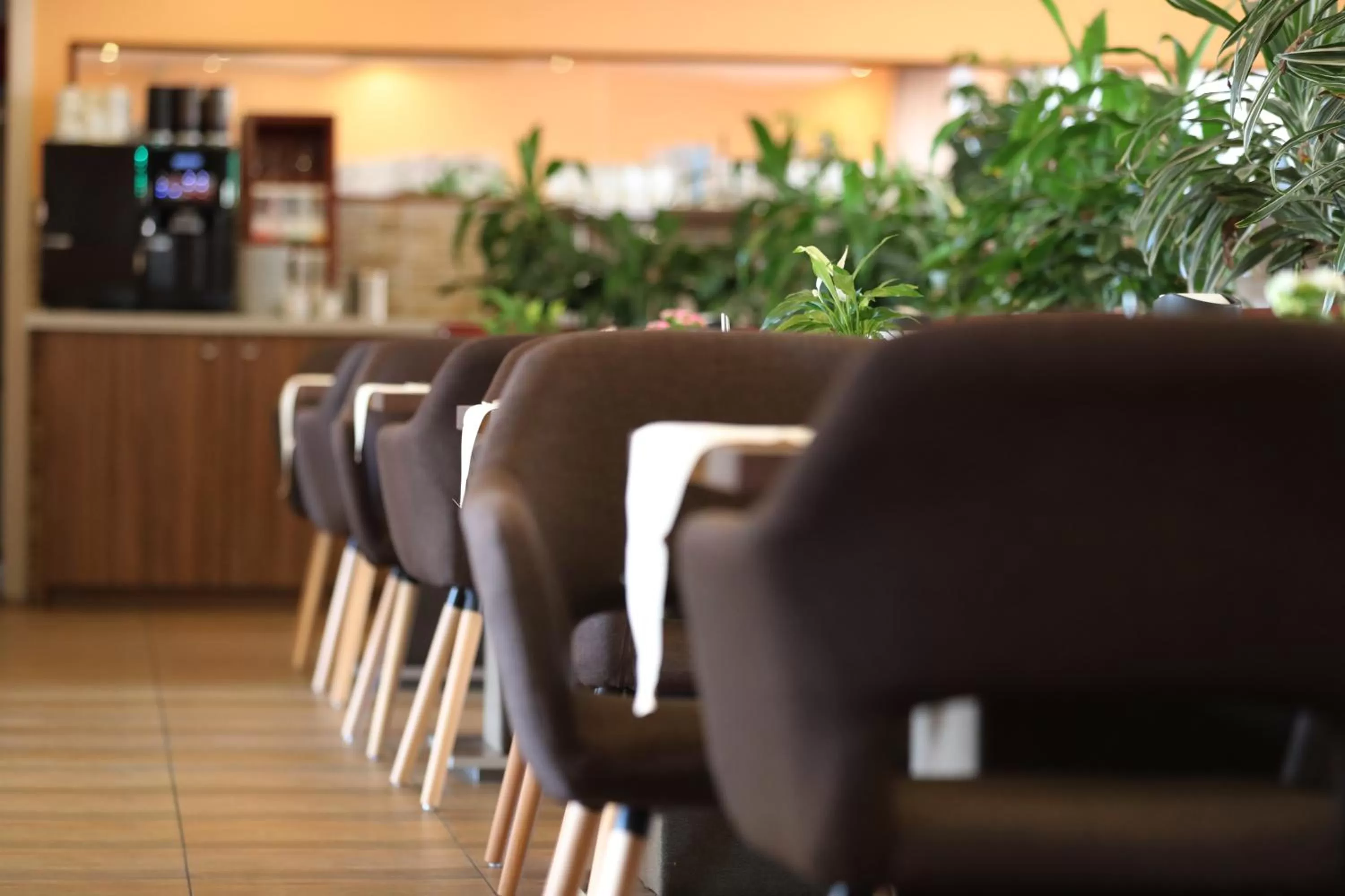 Breakfast in stadthotel miya