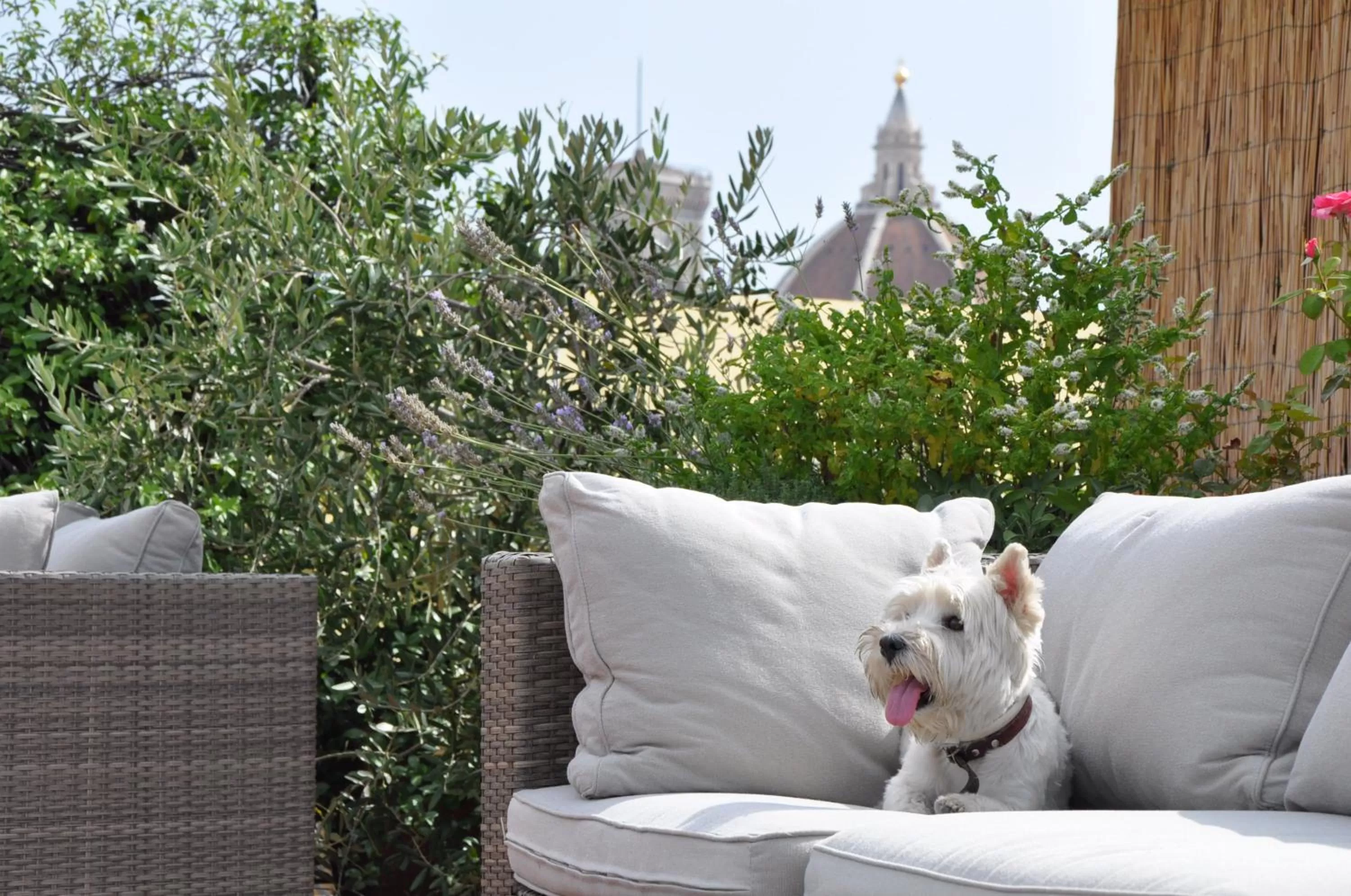 Pets in Antica Torre Tornabuoni