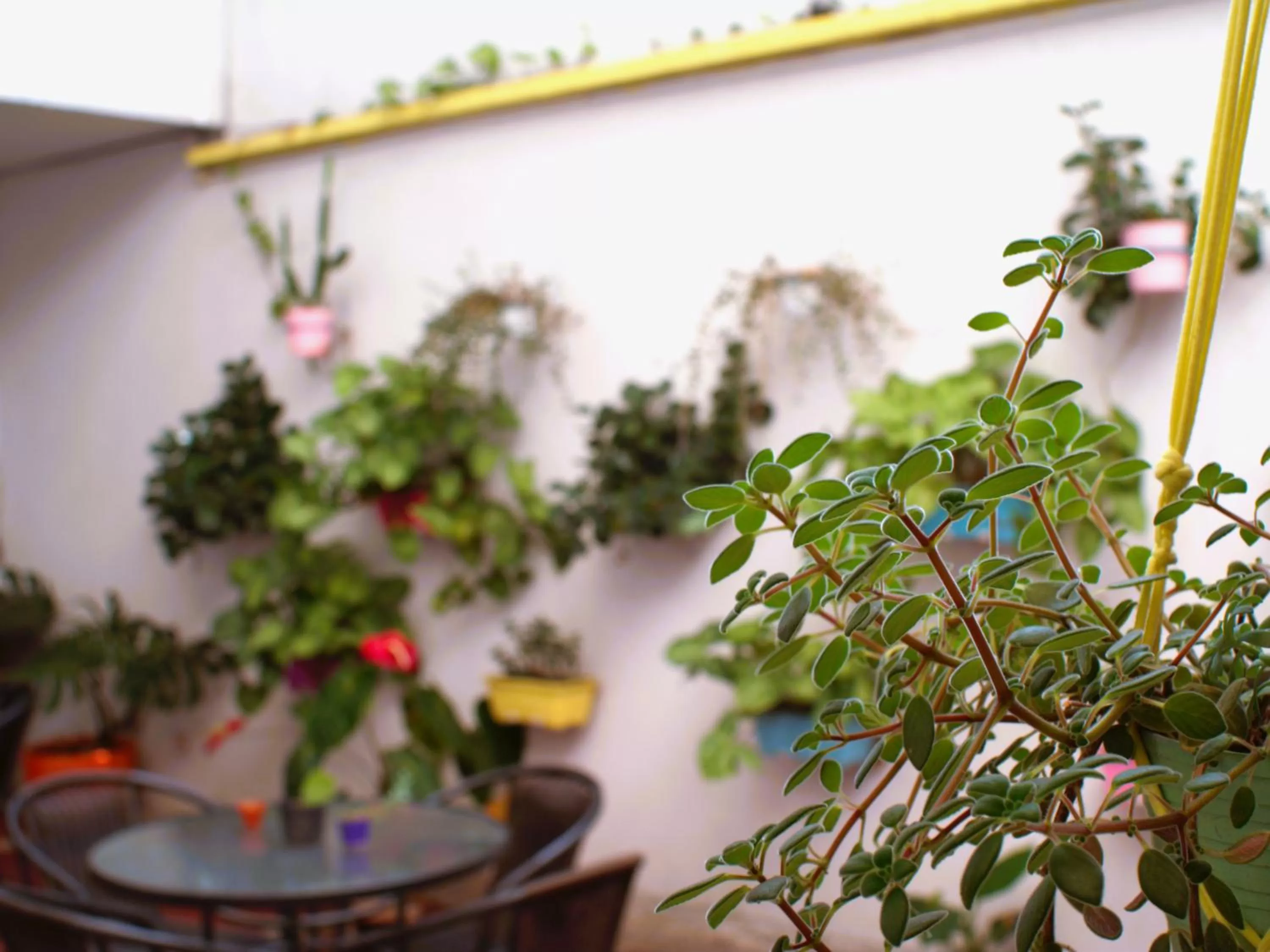 Casa Azul Boutique Hostel