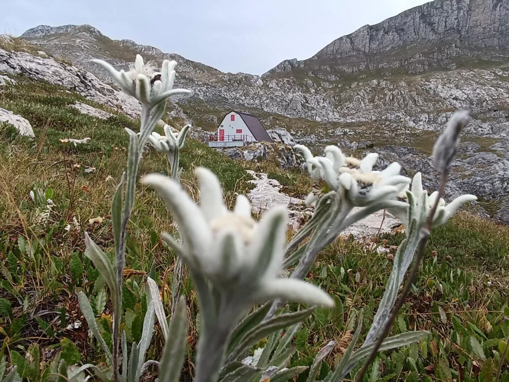 Natural landscape in La Cà ët Mec