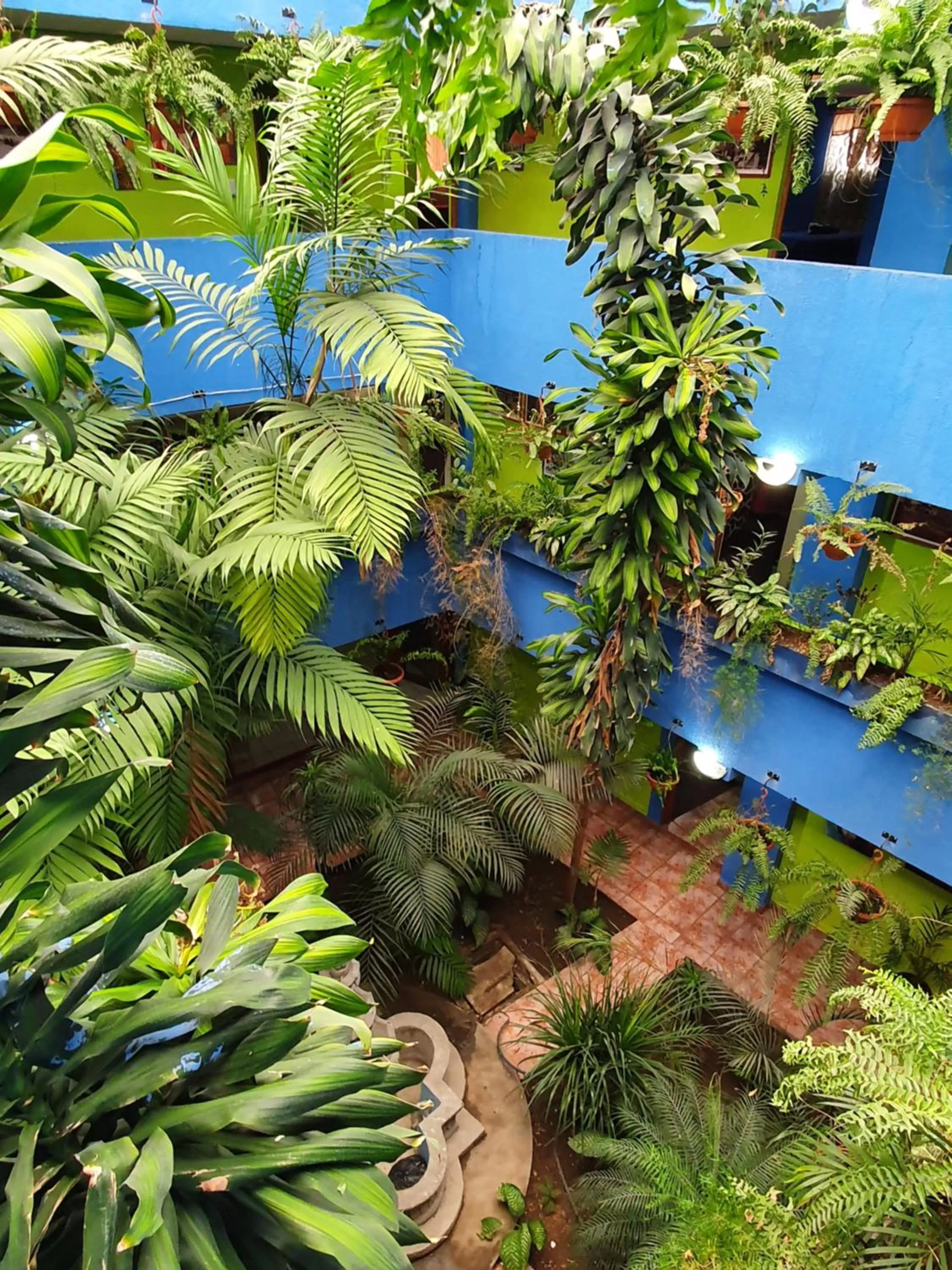 hotel kasa kamelot 2