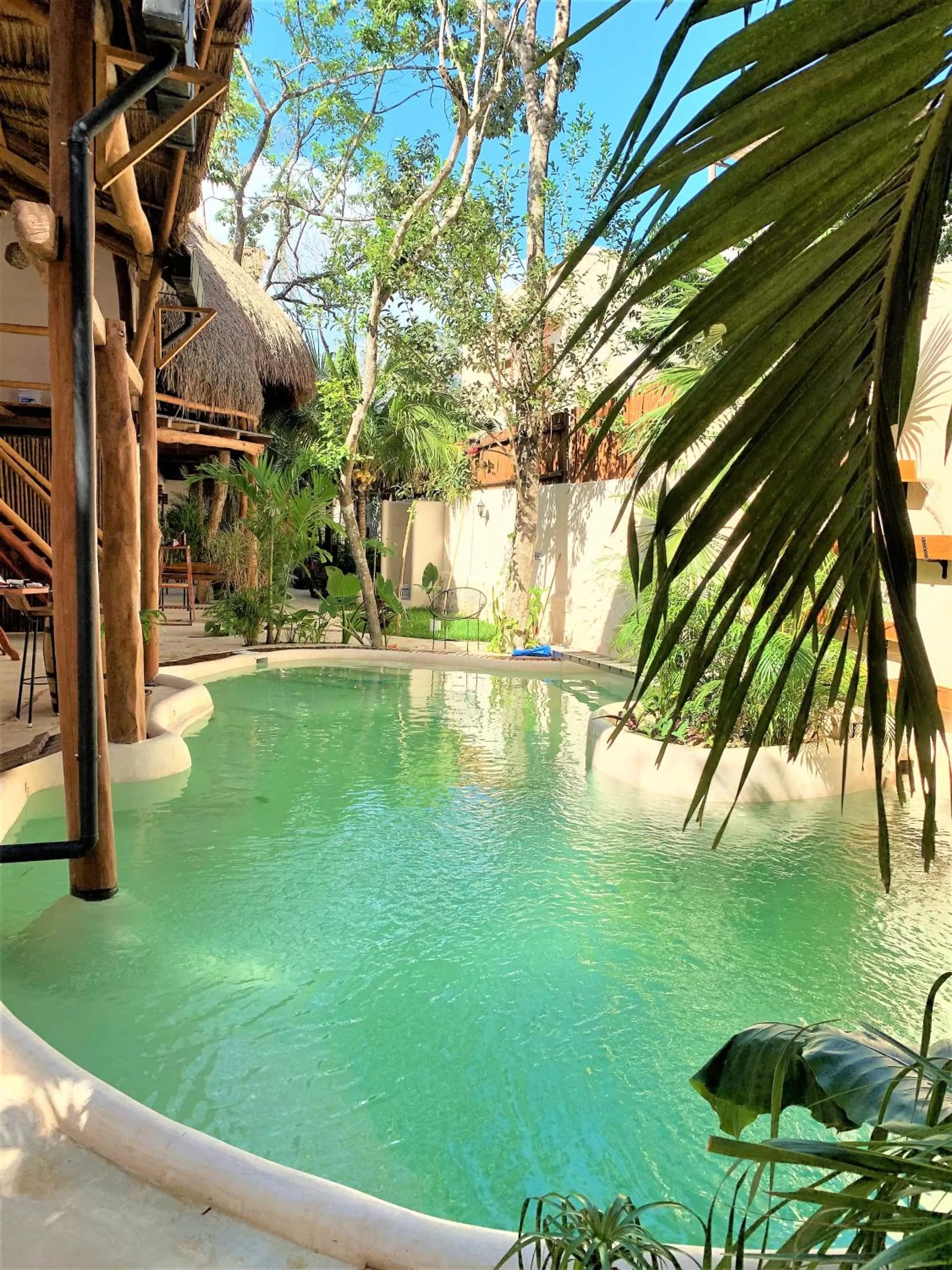 Swimming pool in Hotel Boutique TerraNova