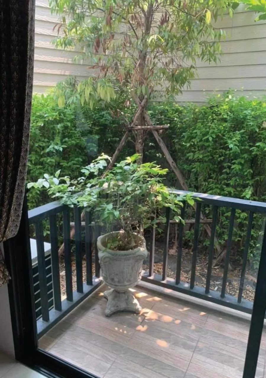 Patio in Sri Ngachang