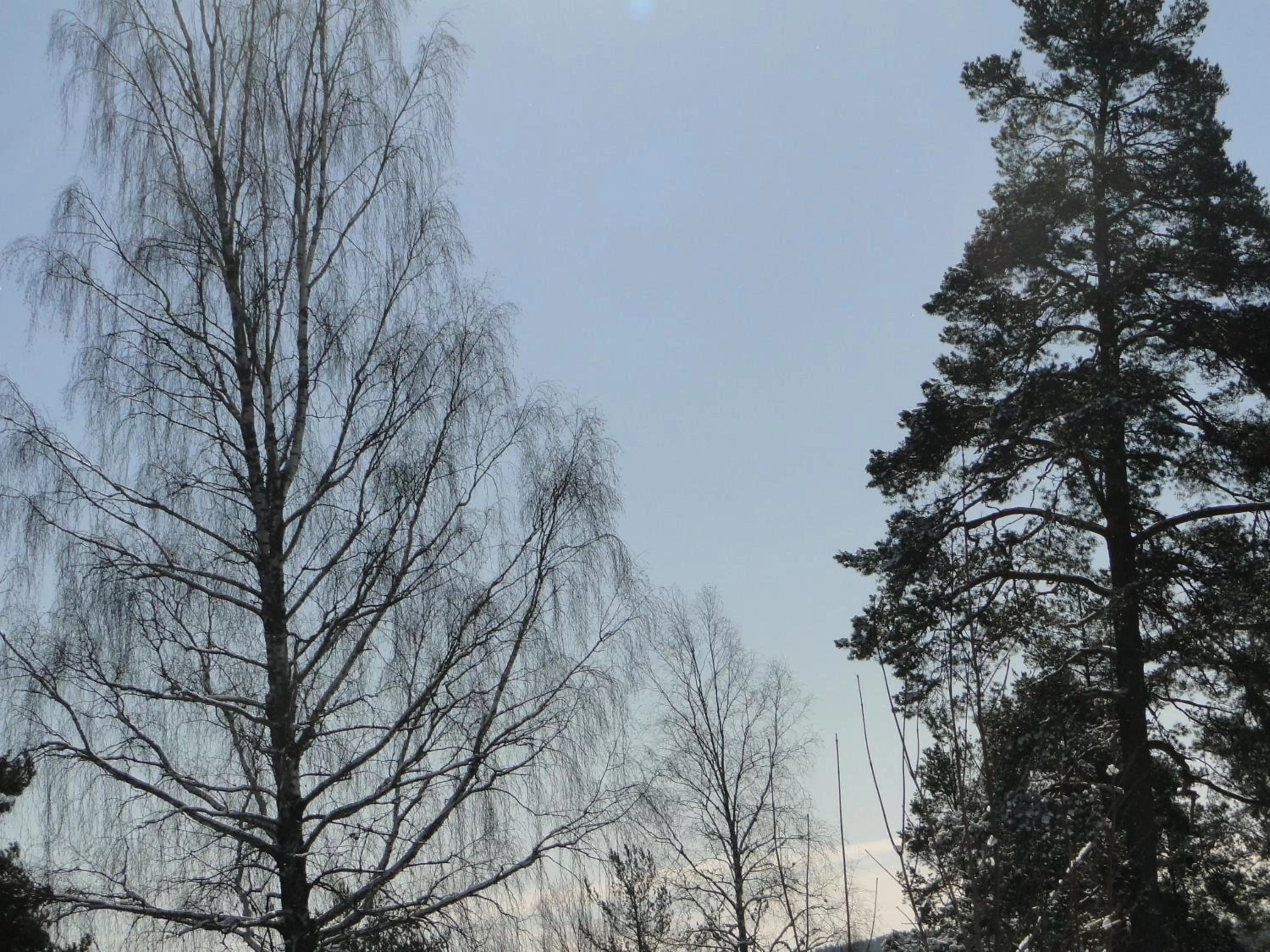 Winter in Sunne Hembygdsgård B&B