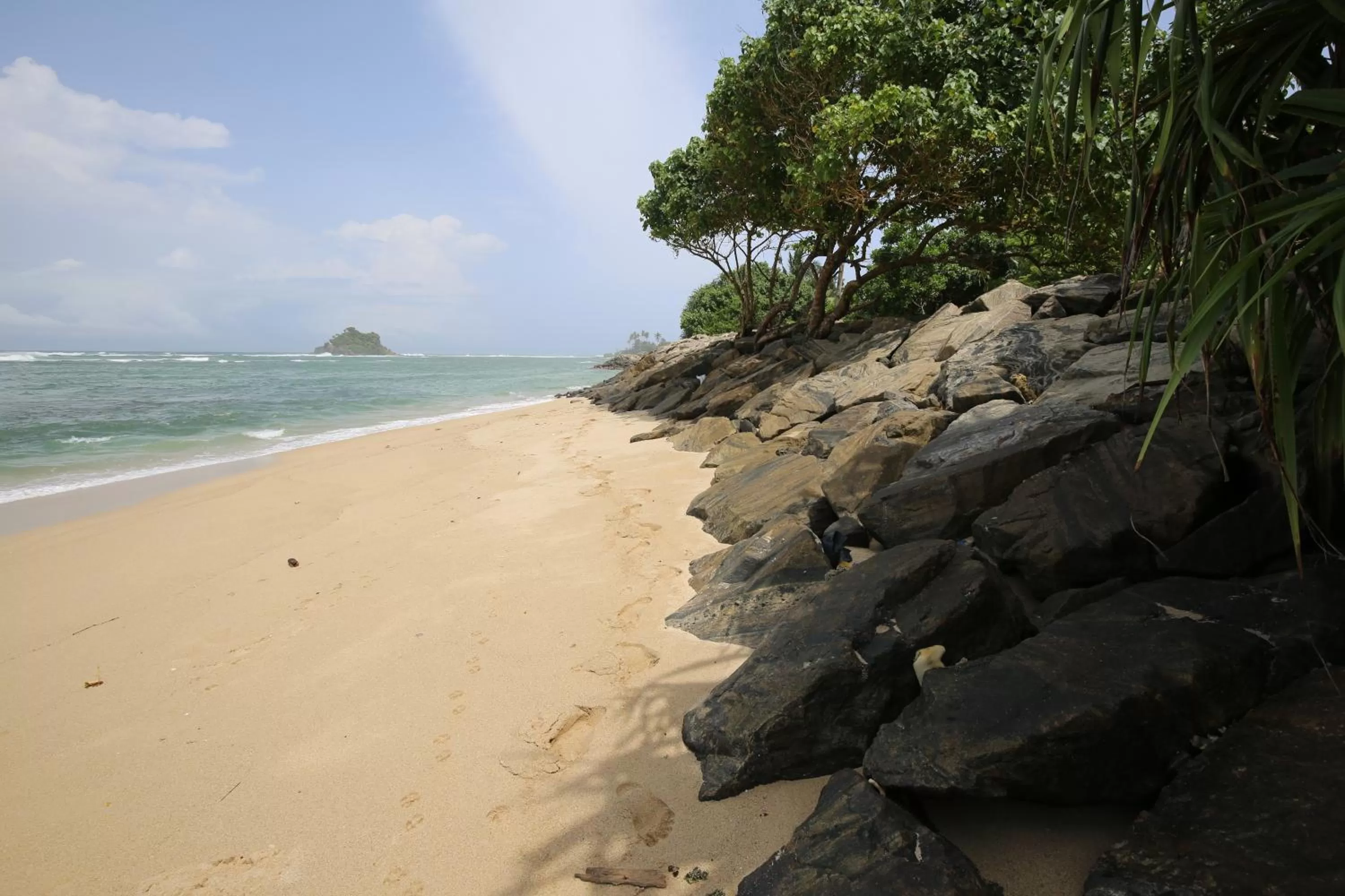 Beach in New Ocean Vibes