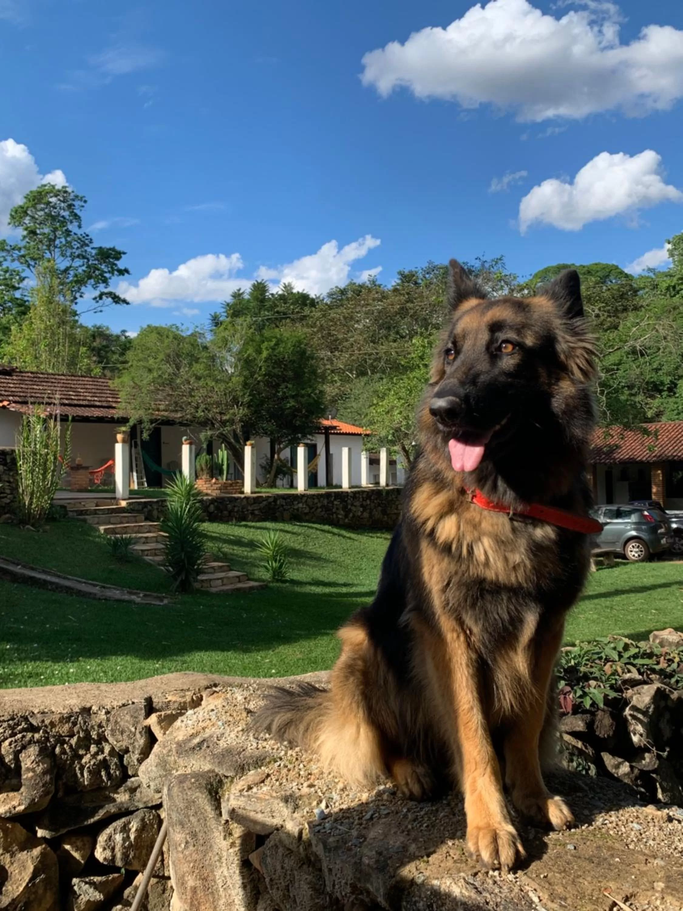 Pets in Pousada Cantinho do Mundo